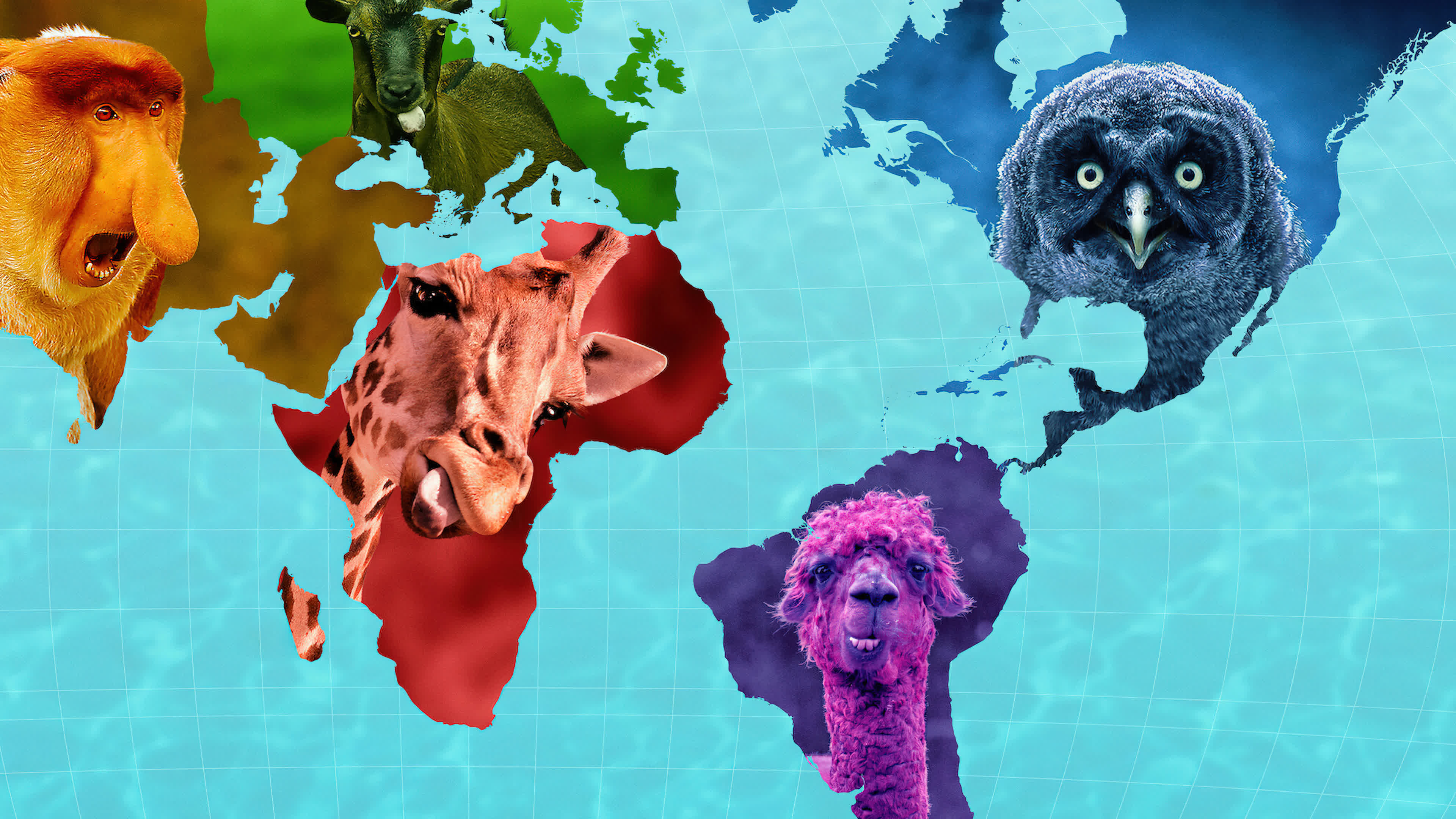 Absurd Planet Season 1 (2020) - Absurd Planet Season 1 (2020) โลกแปลกประหลาด