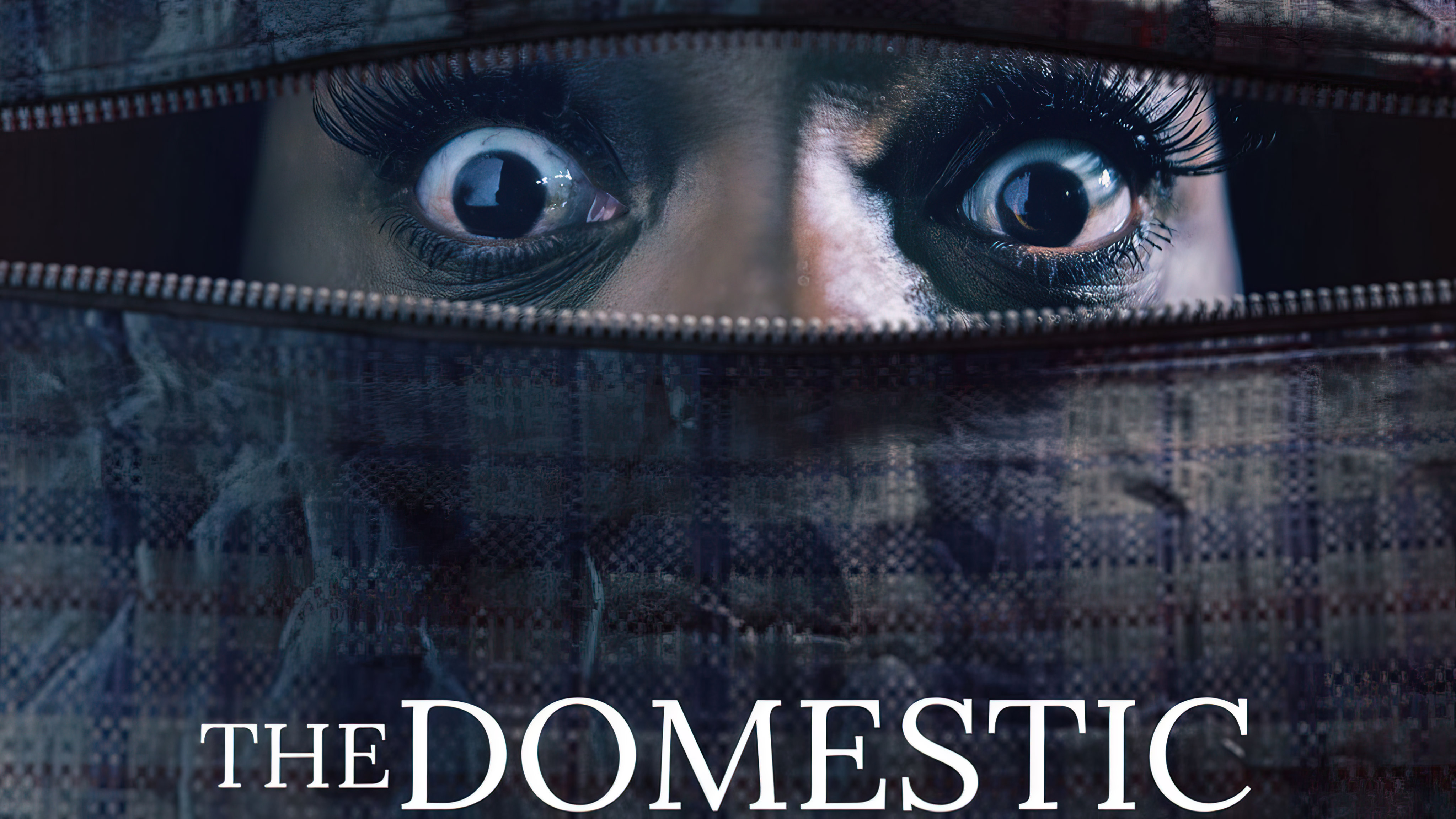 The Domestic (2022) - The Domestic (2022) [ซับแปล]