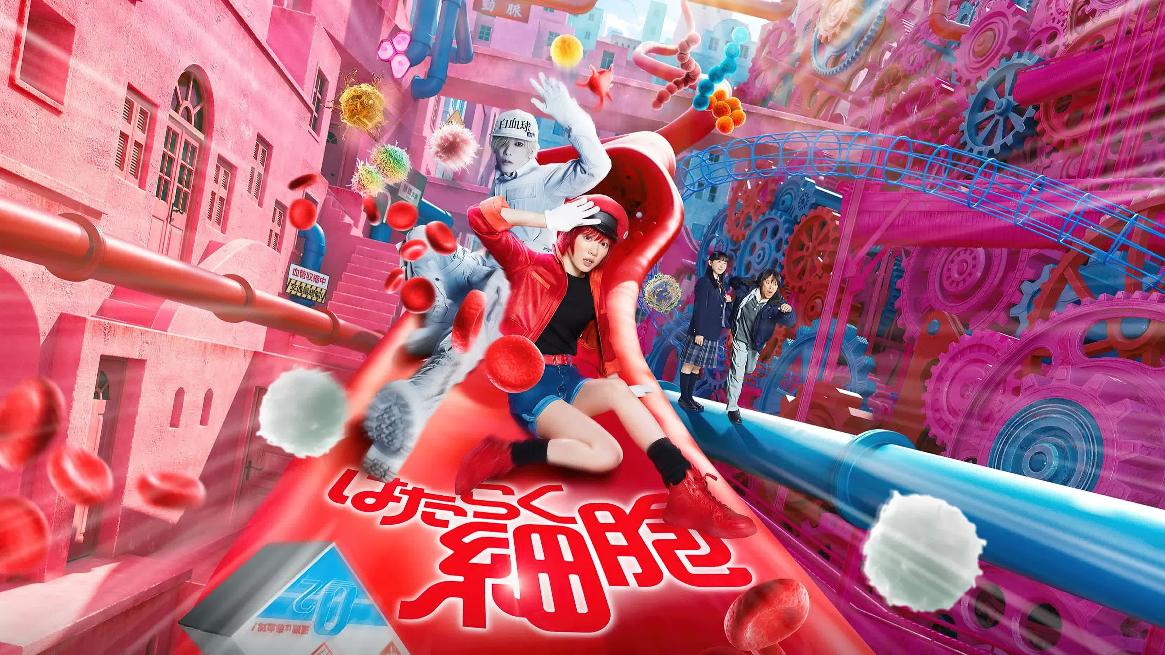 Cells at Work (2024) เซลล์ขยันพันธุ์เดือด