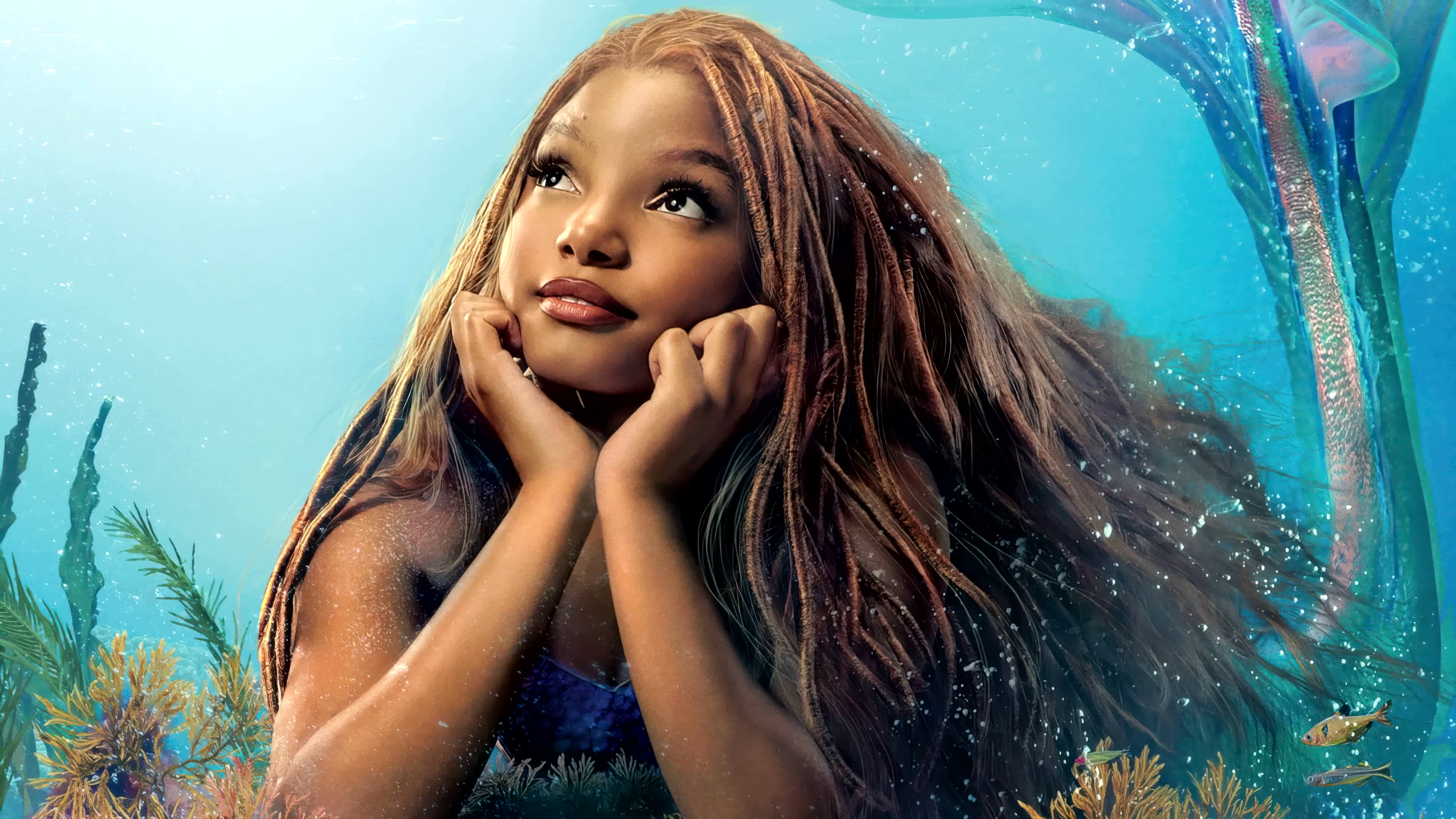 The Little Mermaid (2023) - The Little Mermaid (2023) เงือกน้อยผจญภัย