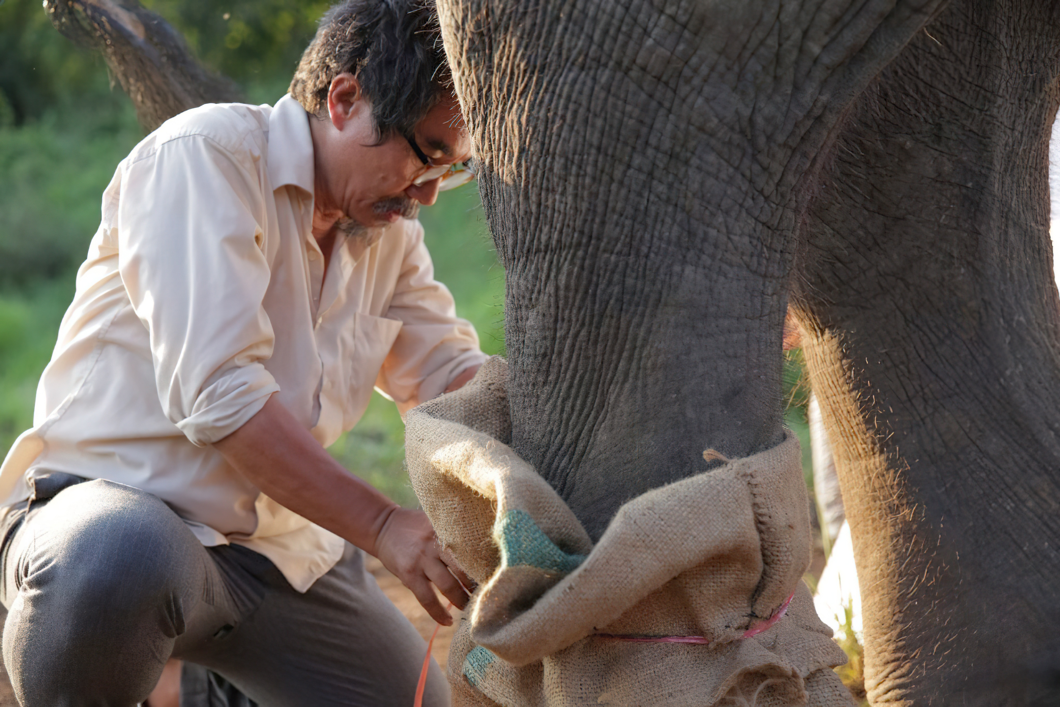 ป๊อปอาย มายเฟรนด์ Pop Aye - ป๊อปอาย มายเฟรนด์