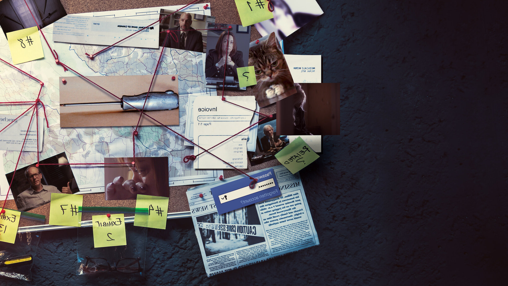 Don't F**k with Cats Hunting an Internet Killer Season 1 (2019)  - แมว**ห้ามใครแตะ: ล่าฆาตกรอินเตอร์เน็ต Season 1 (2019)