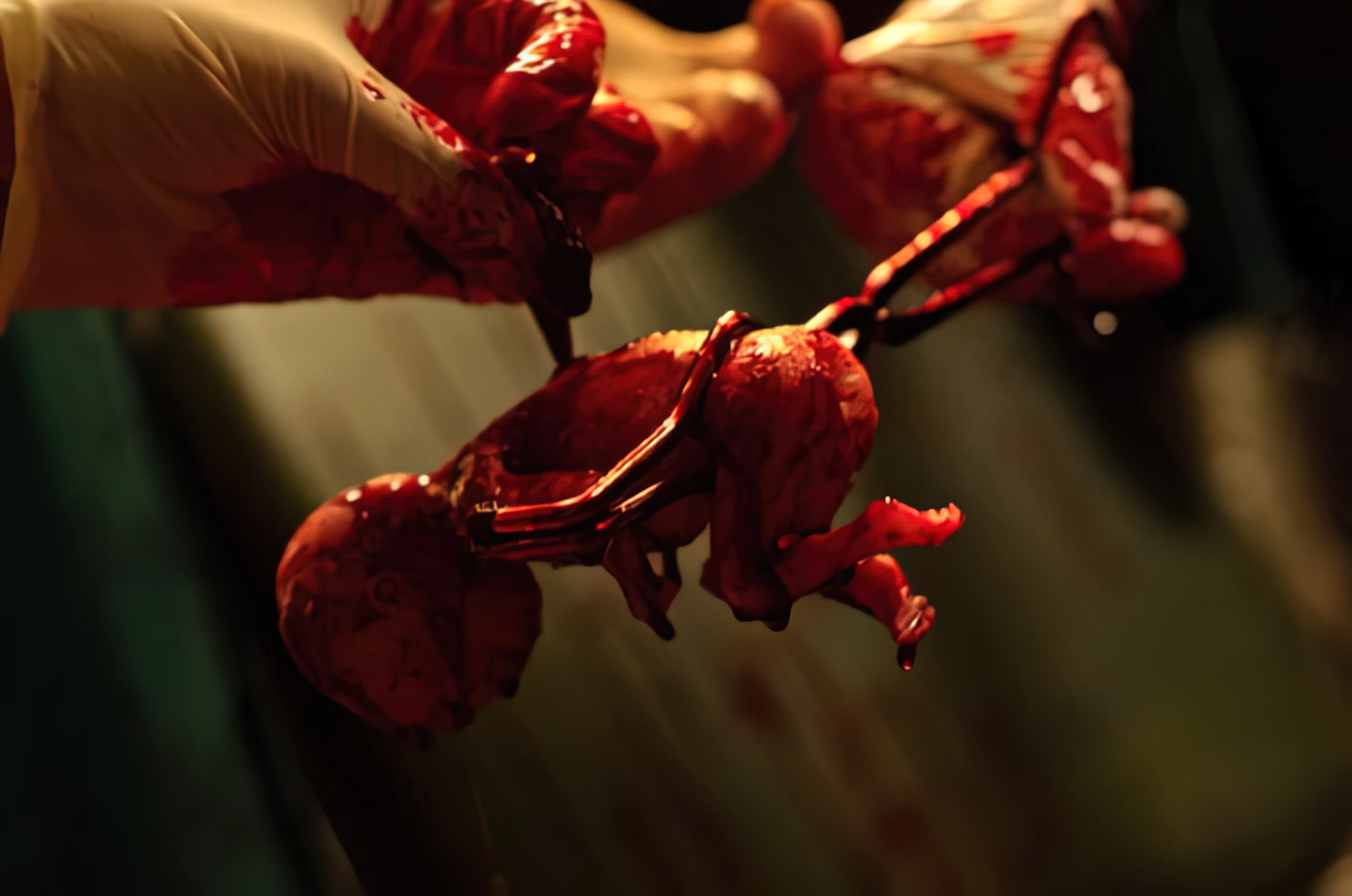 The Unborn Child (2011) - ศพเด็ก 2002 (2011)