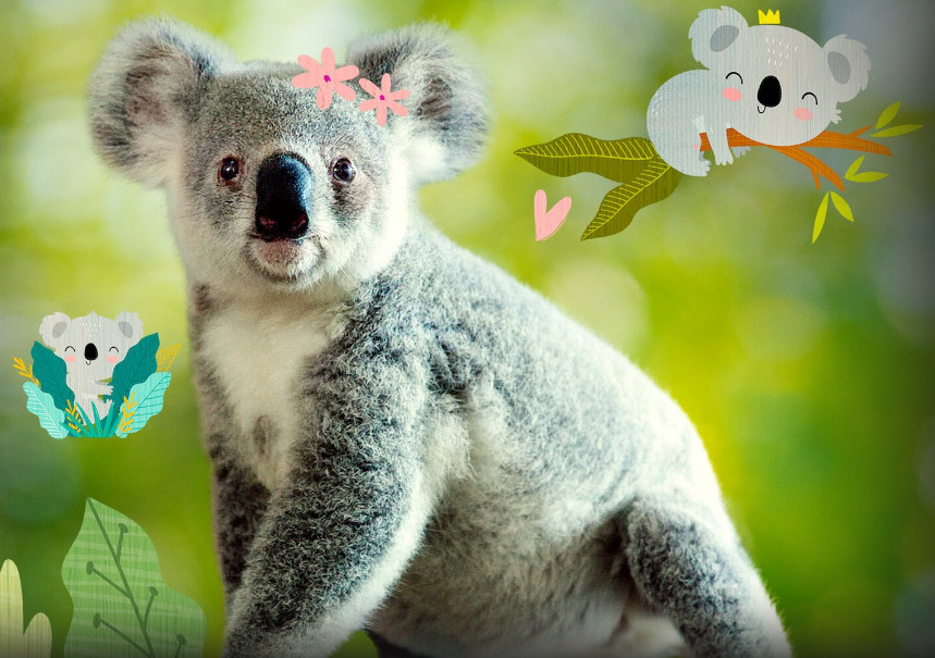 Izzy's Koala World Season 2 (2021) - Izzy's Koala World Season 2 (2021) โลกโคอาลาของอิซซี่