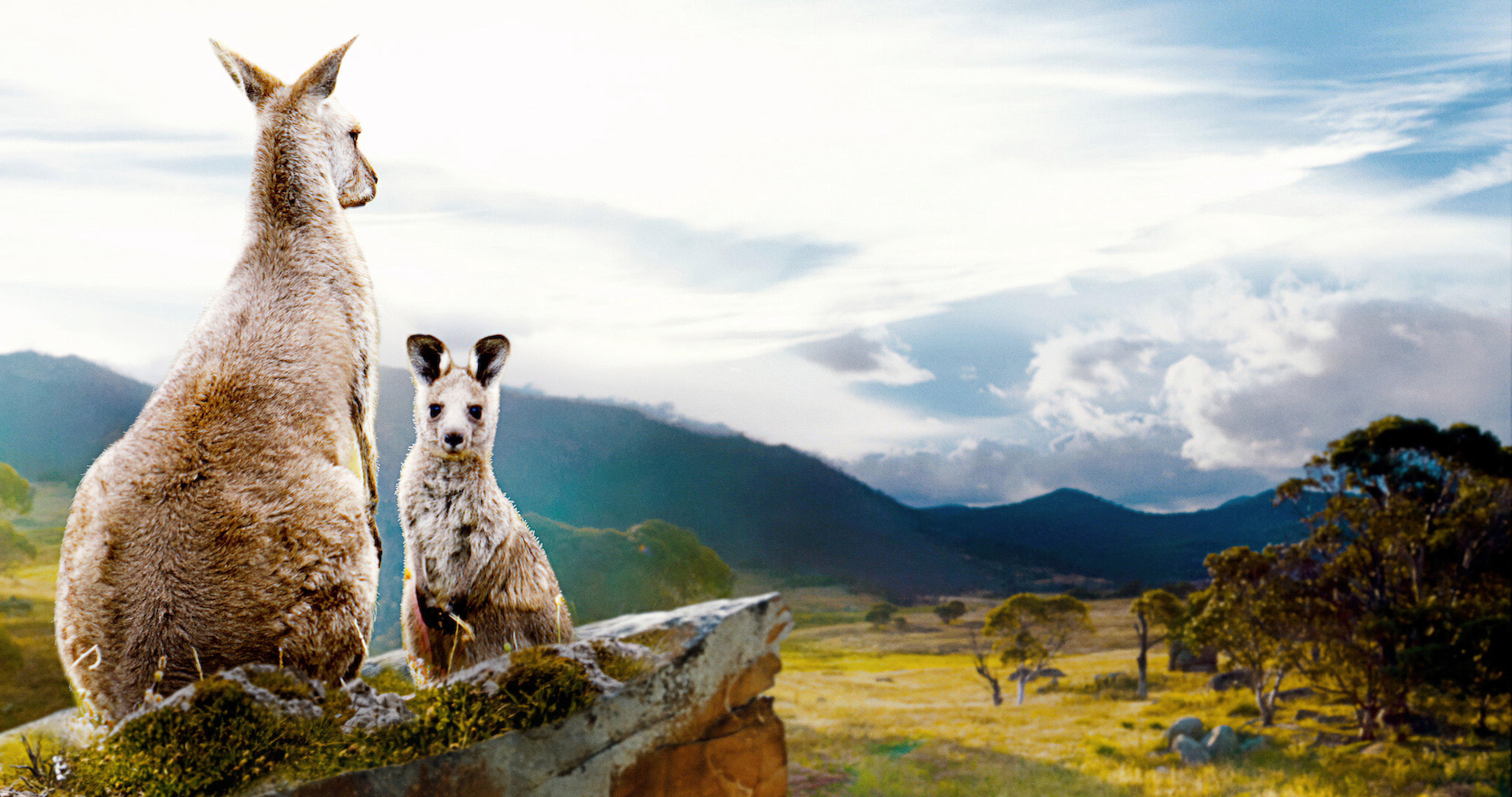 Kangaroo Valley (2022) - Kangaroo Valley (2022) หุบเขาแห่งจิงโจ้