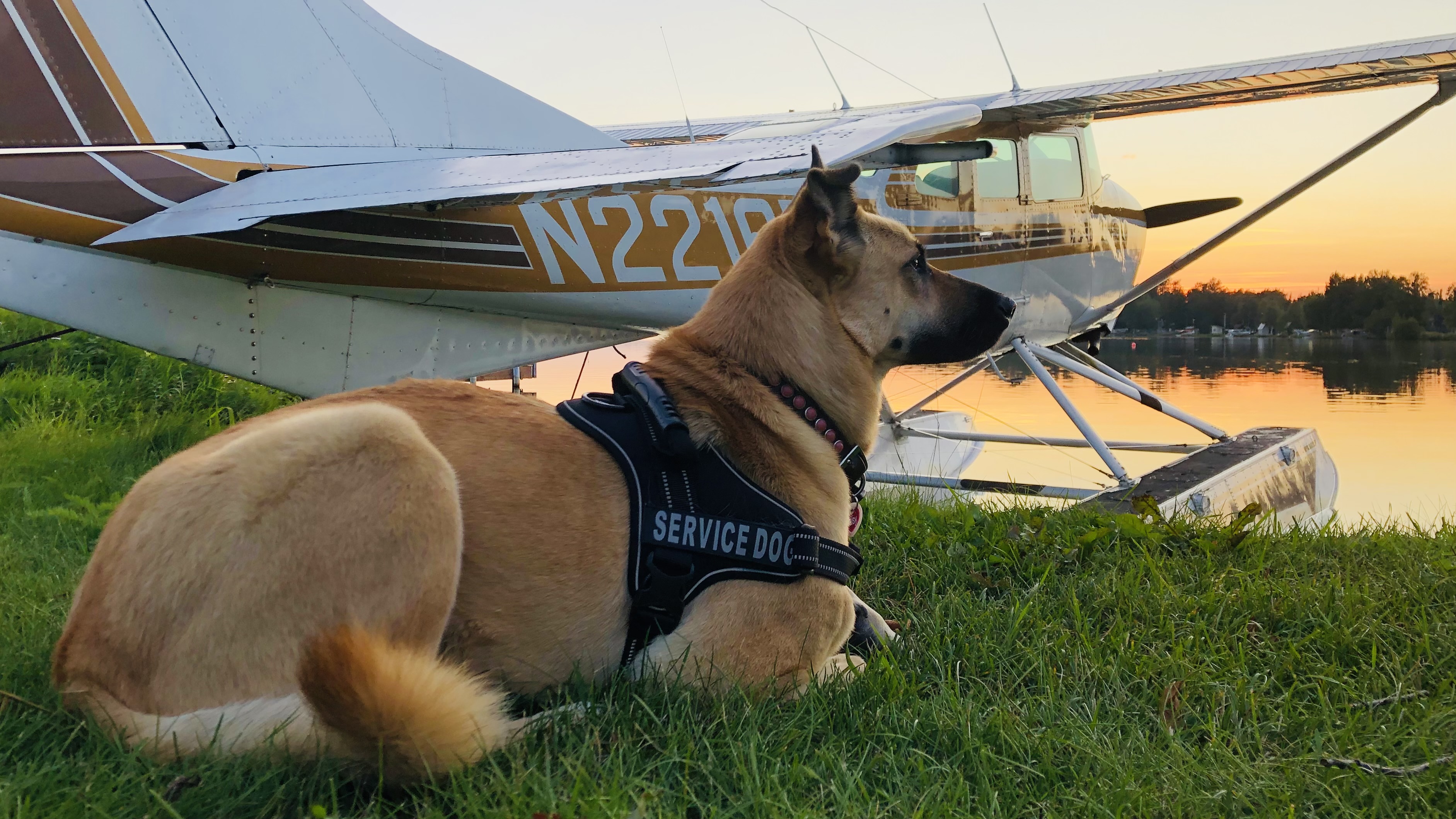 Pirate Gold of Adak Island Season 1 (2022) - Pirate Gold of Adak Island Season 1 (2022) ทองคำโจรสลัดแห่งเกาะเอดัก