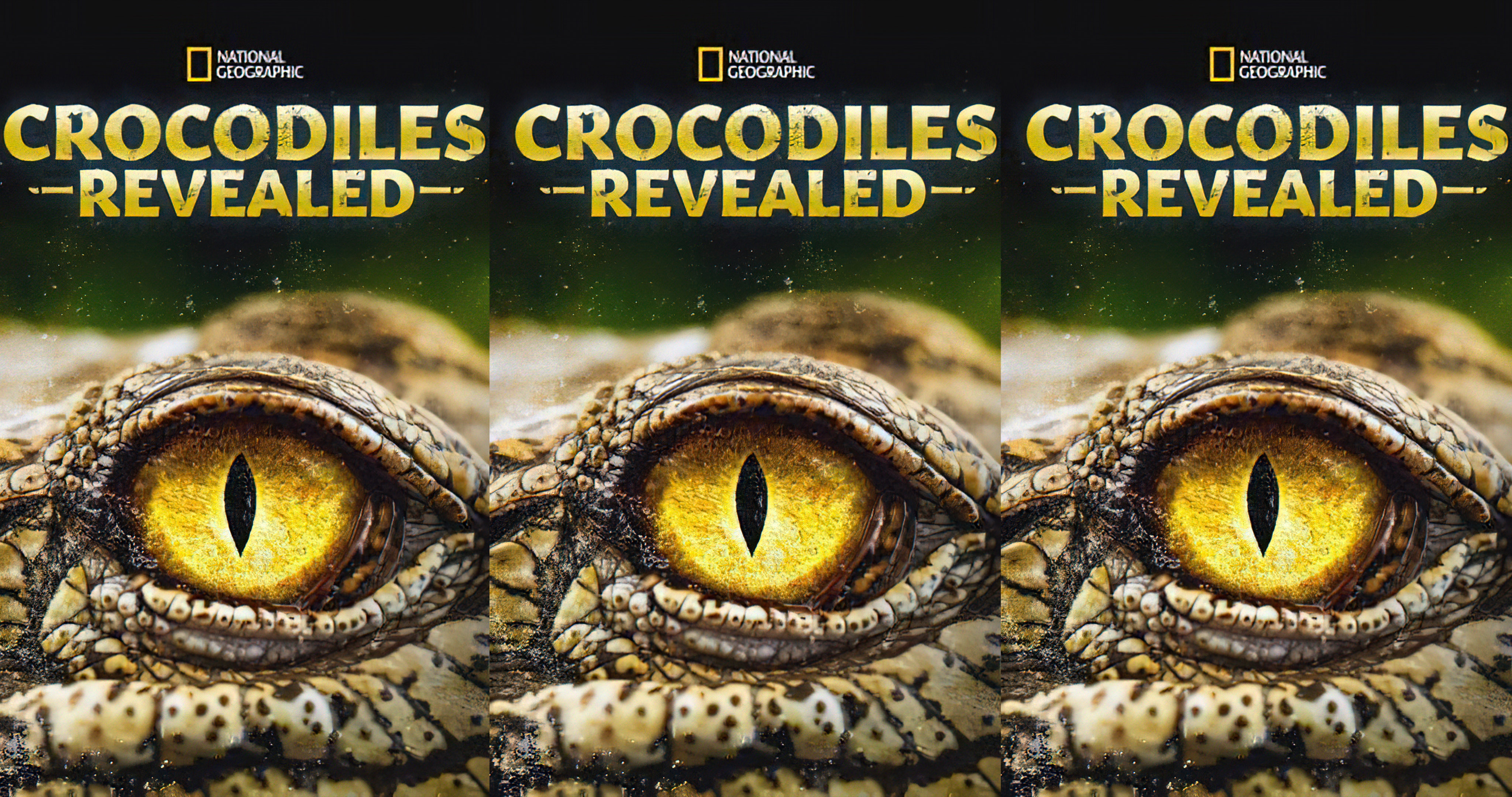 Crocodiles Revealed (2022) - Crocodiles Revealed (2022)