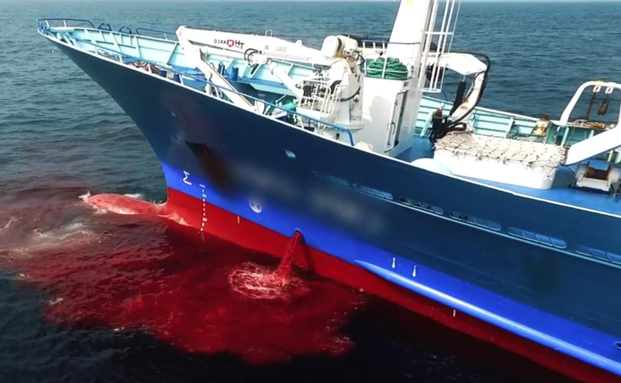 Seaspiracy (2021) -n- - Seaspiracy (2021) ใครทำร้ายทะเล