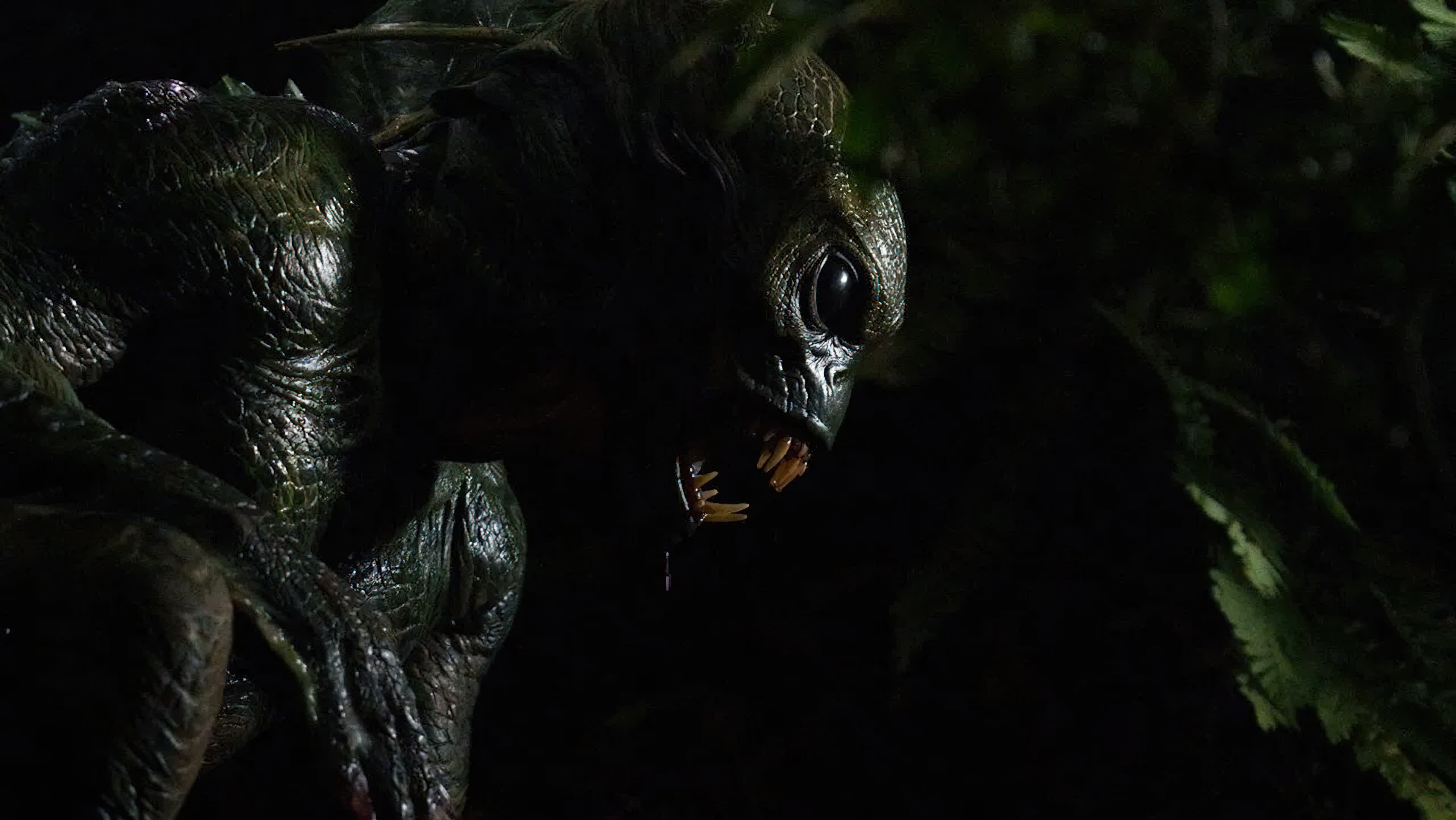 Monster Island (2024) เกาะอสูร