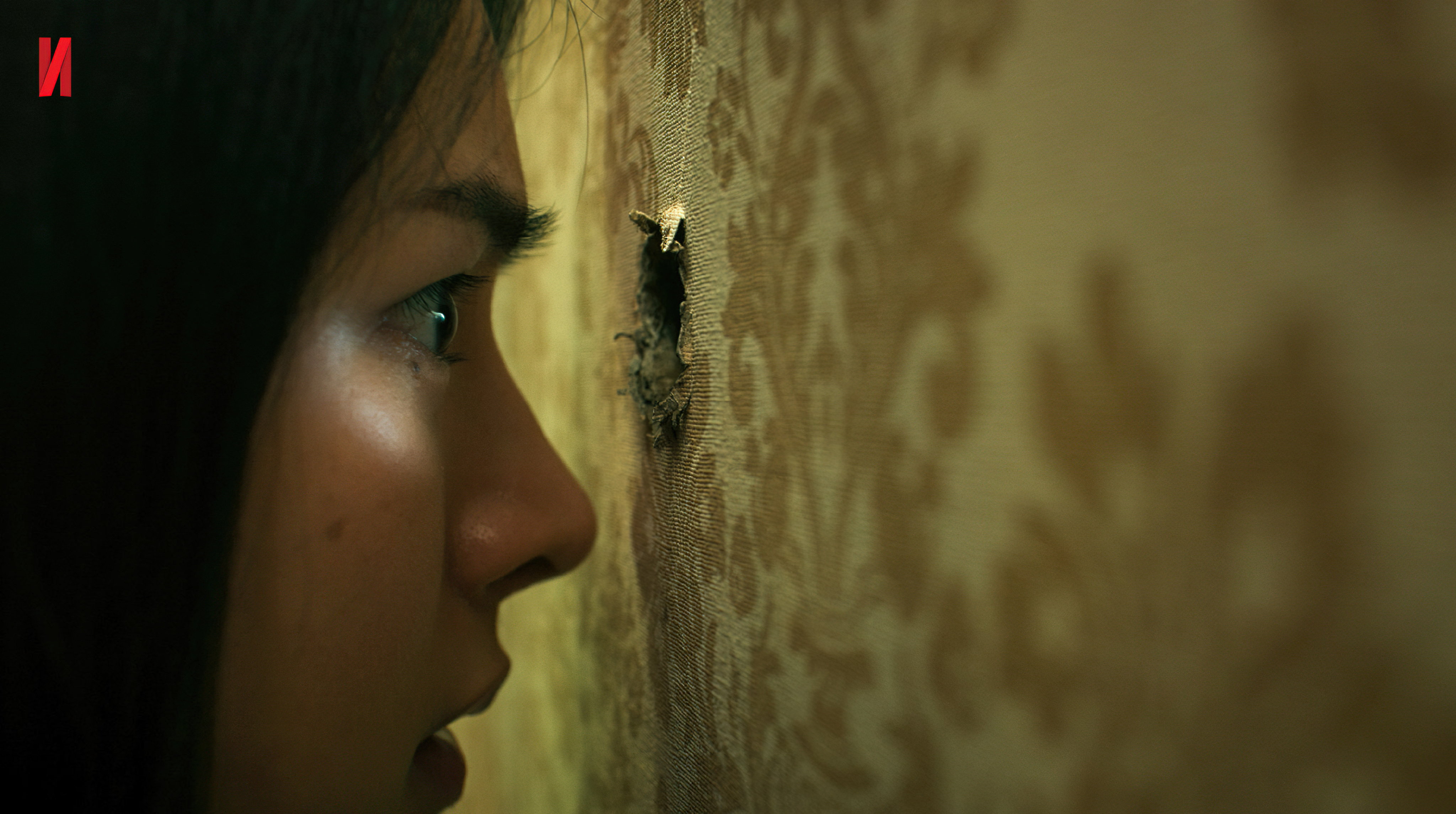 ปริศนารูหลอน (2021)  - ปริศนารูหลอน (2021) The Whole Truth