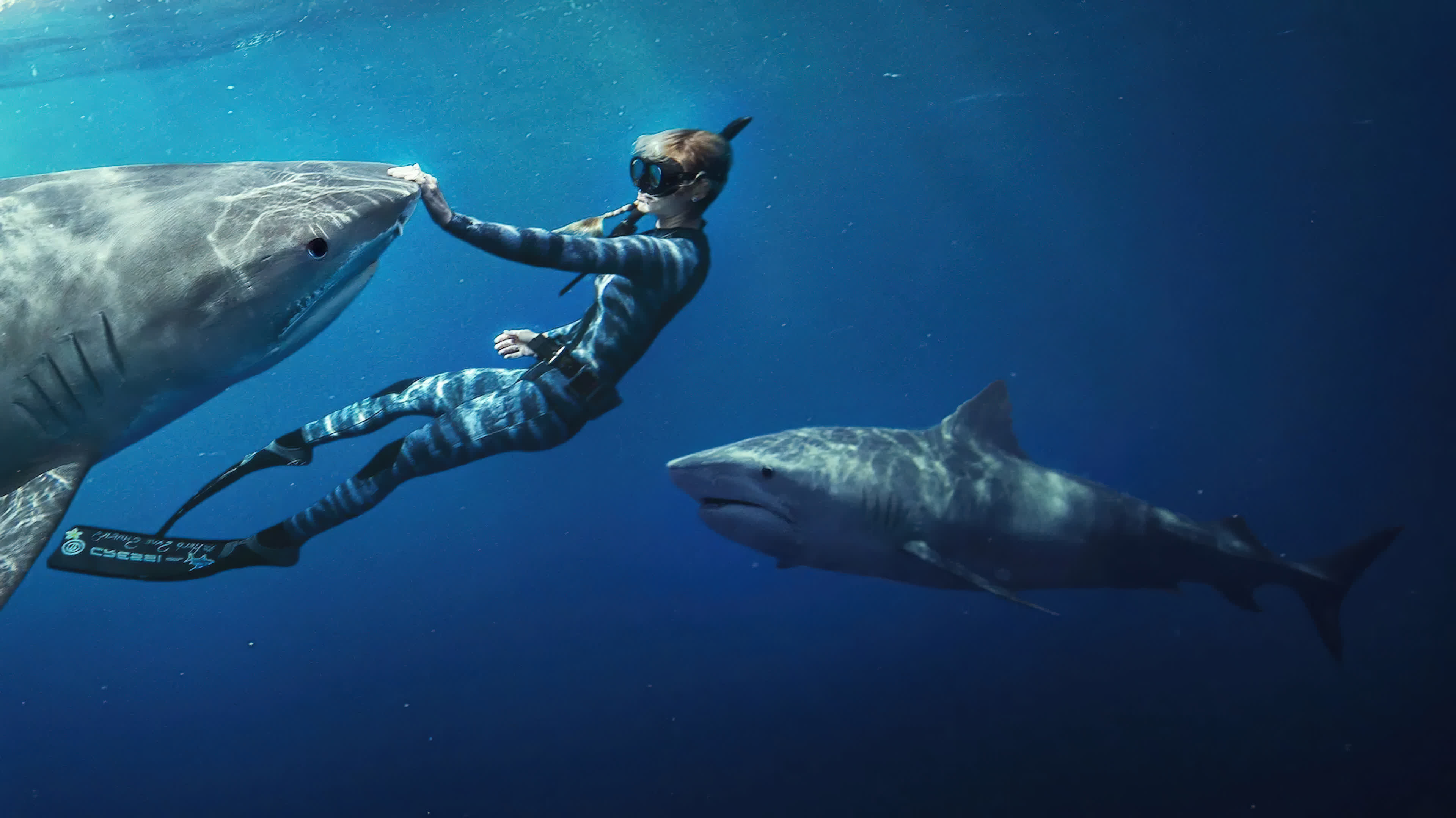 Shark Whisperer (2025) คนรักษ์ฉลาม