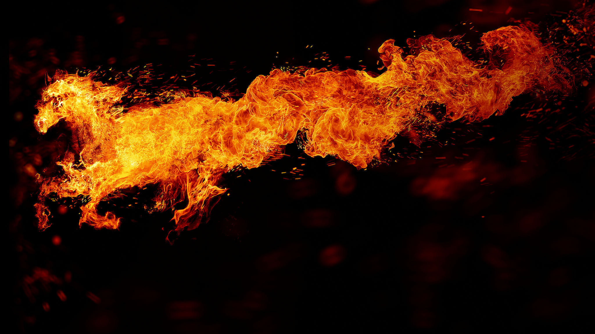 Marco Polo Season 2 (2016) - Marco Polo Season 2 (2016)