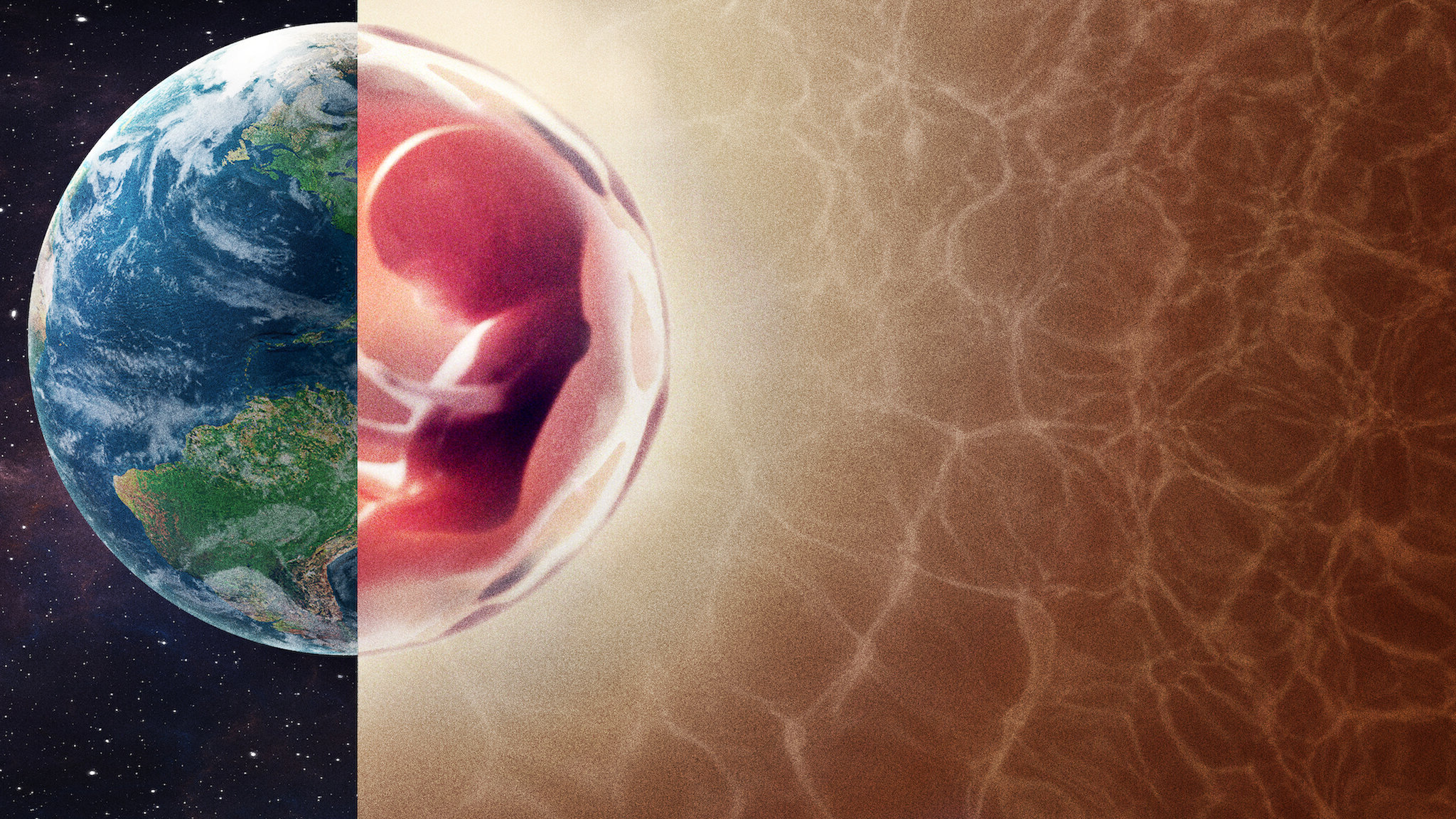 Human The World Within Season 1 (2021)  - Human The World Within Season 1 (2021) เนื้อในมนุษย์