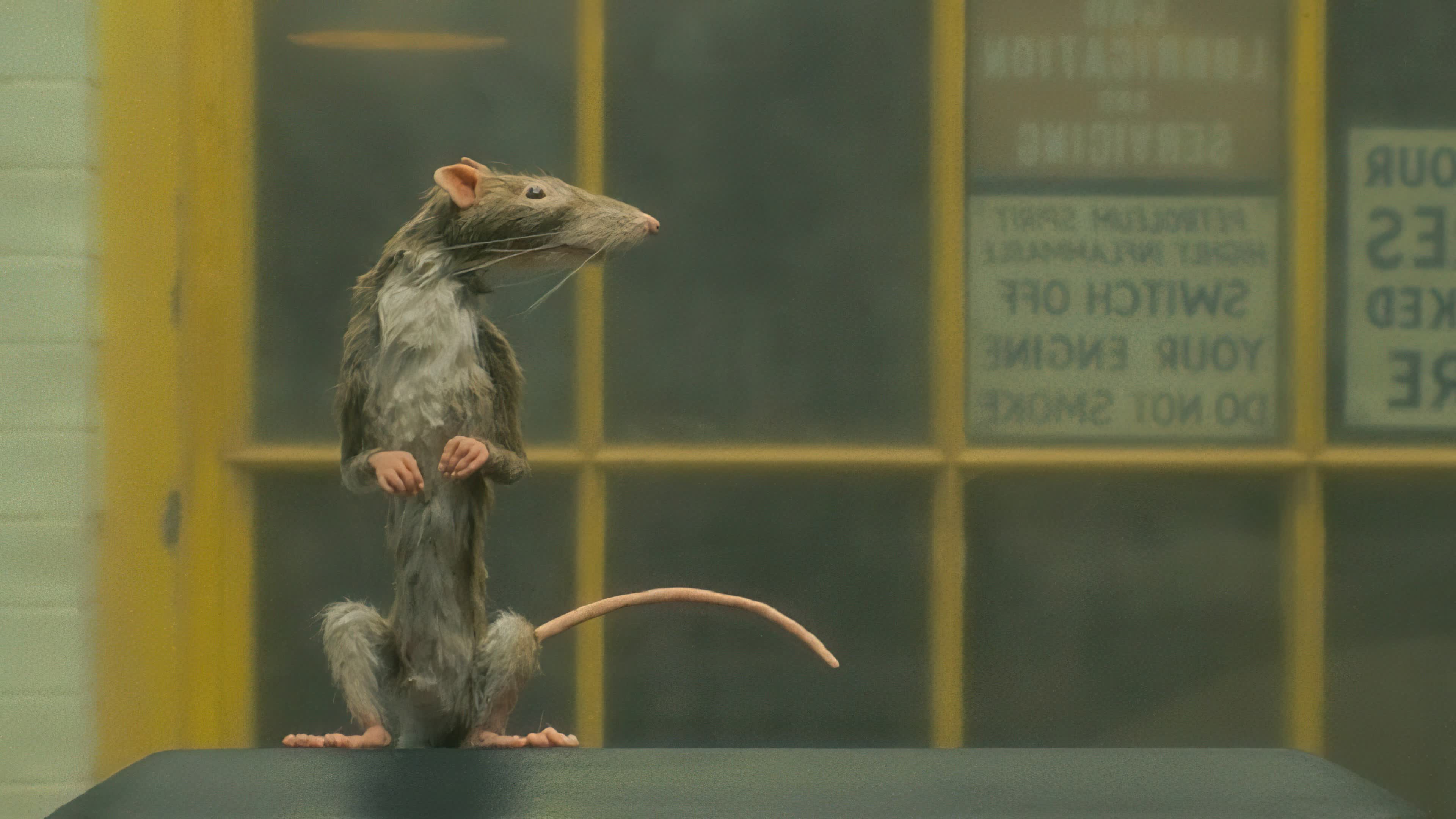 The Rat Catcher (2023) - The Rat Catcher (2023) คนจับหนู