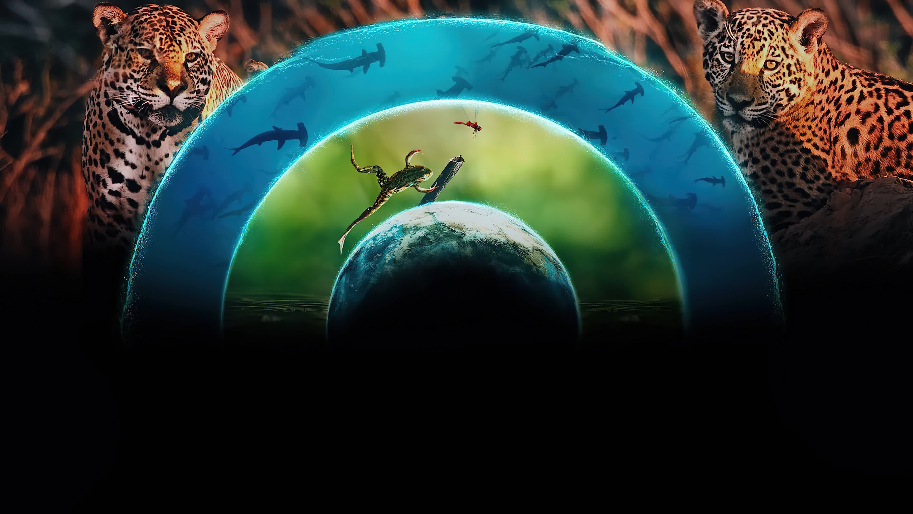 Our Living World Season 1 (2024) โลกที่เราอยู่ [พากย์ไทย