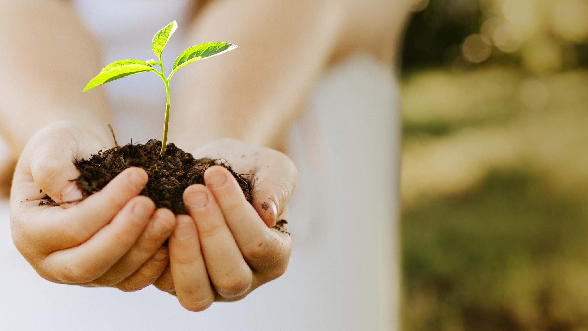 Kiss the Ground (2020)  - Kiss the Ground (2020) จุมพิตแด่ผืนดิน