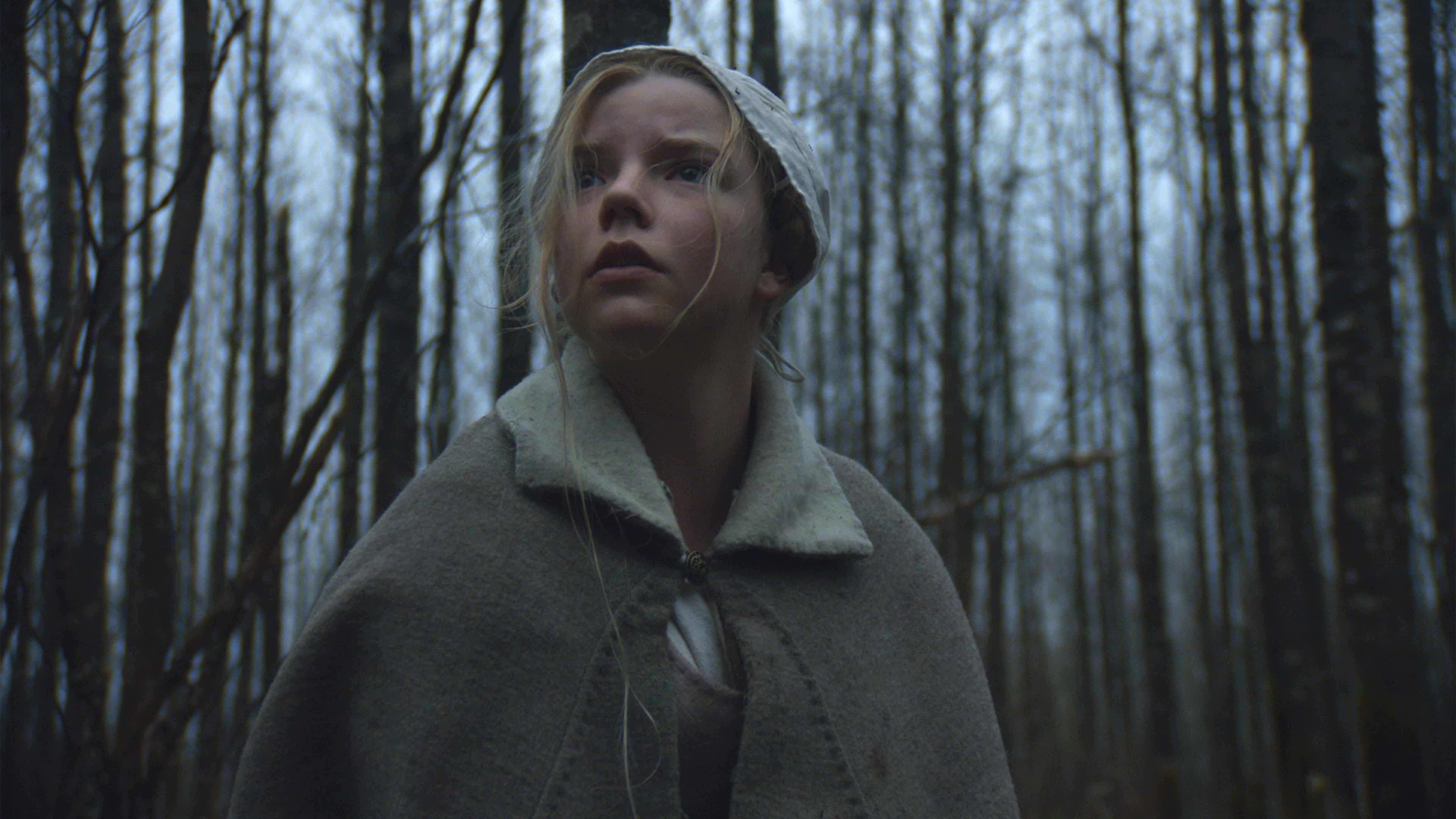 The Witch (2015) - The Witch (2015) อาถรรพ์แม่มดโบราณ