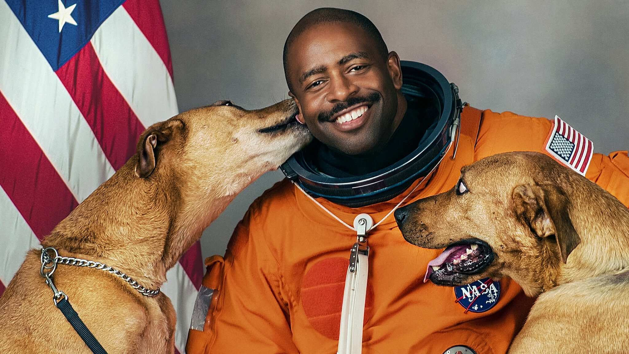 Dogs Season 1 (2018) -n- - Dogs Season 1 (2018) เพื่อนแท้สี่ขา