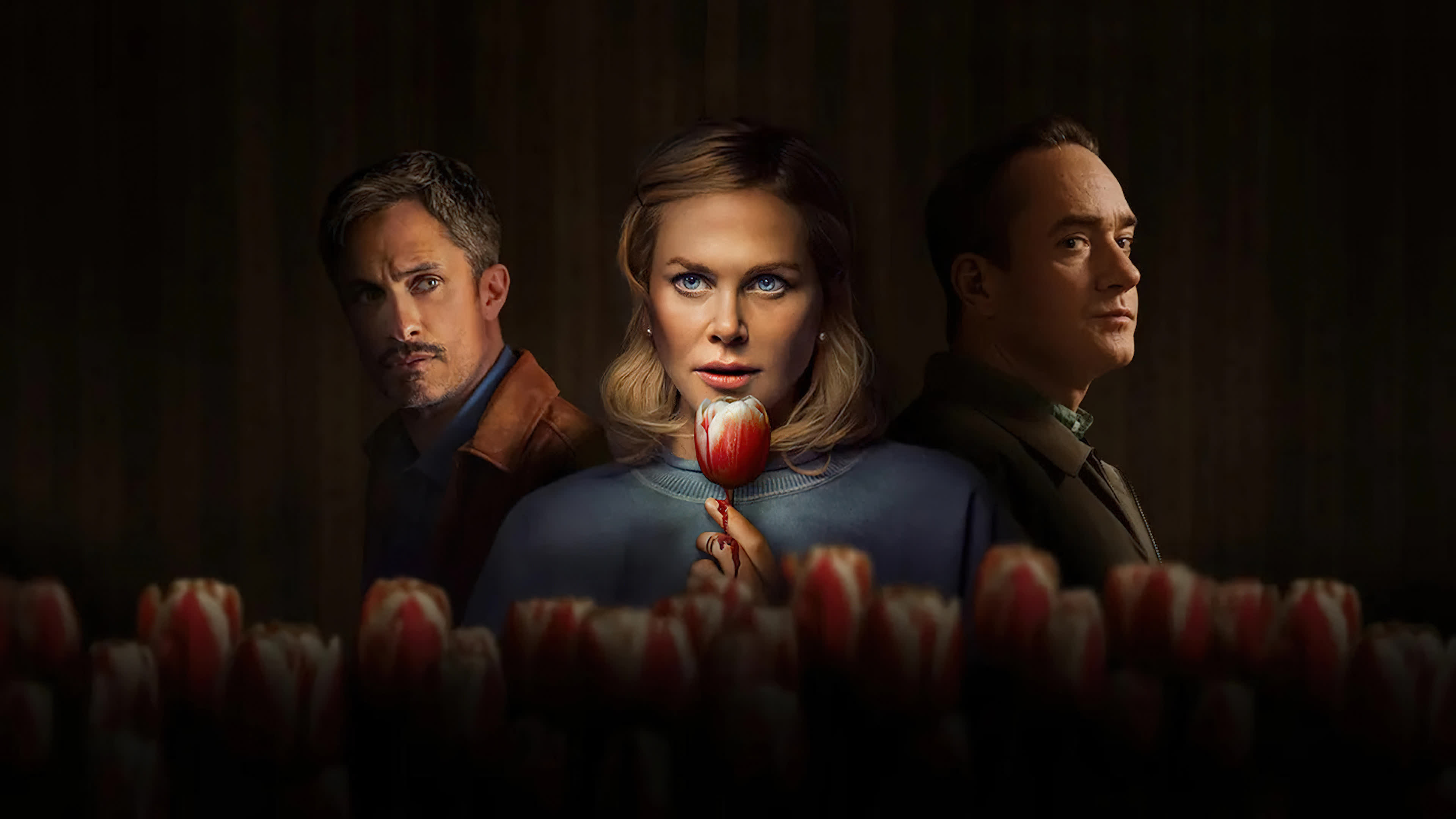 Holland (2025) ฮอลแลนด์ เมืองหลอนซ่อนความลับ