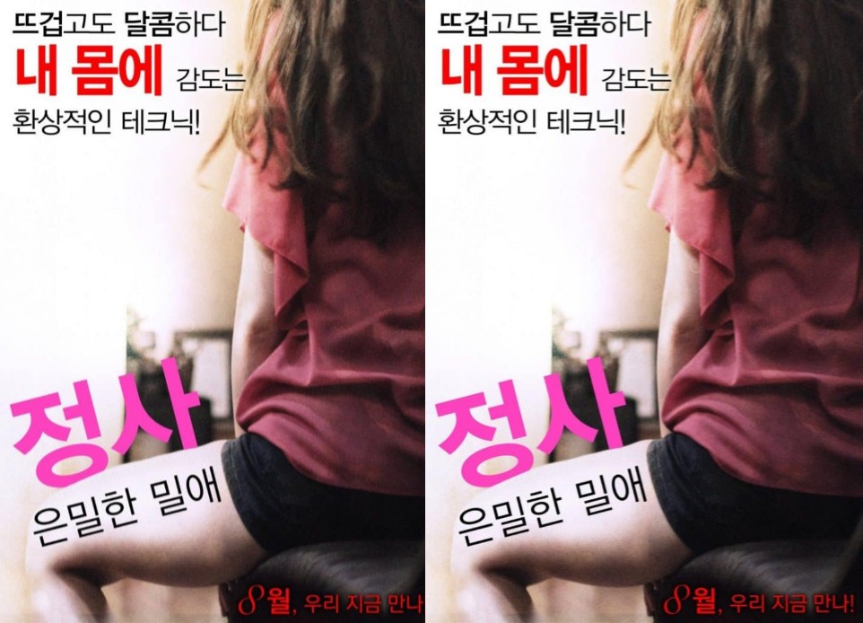 Love Affair A Secret Affair (2016) | [Korean 18+]