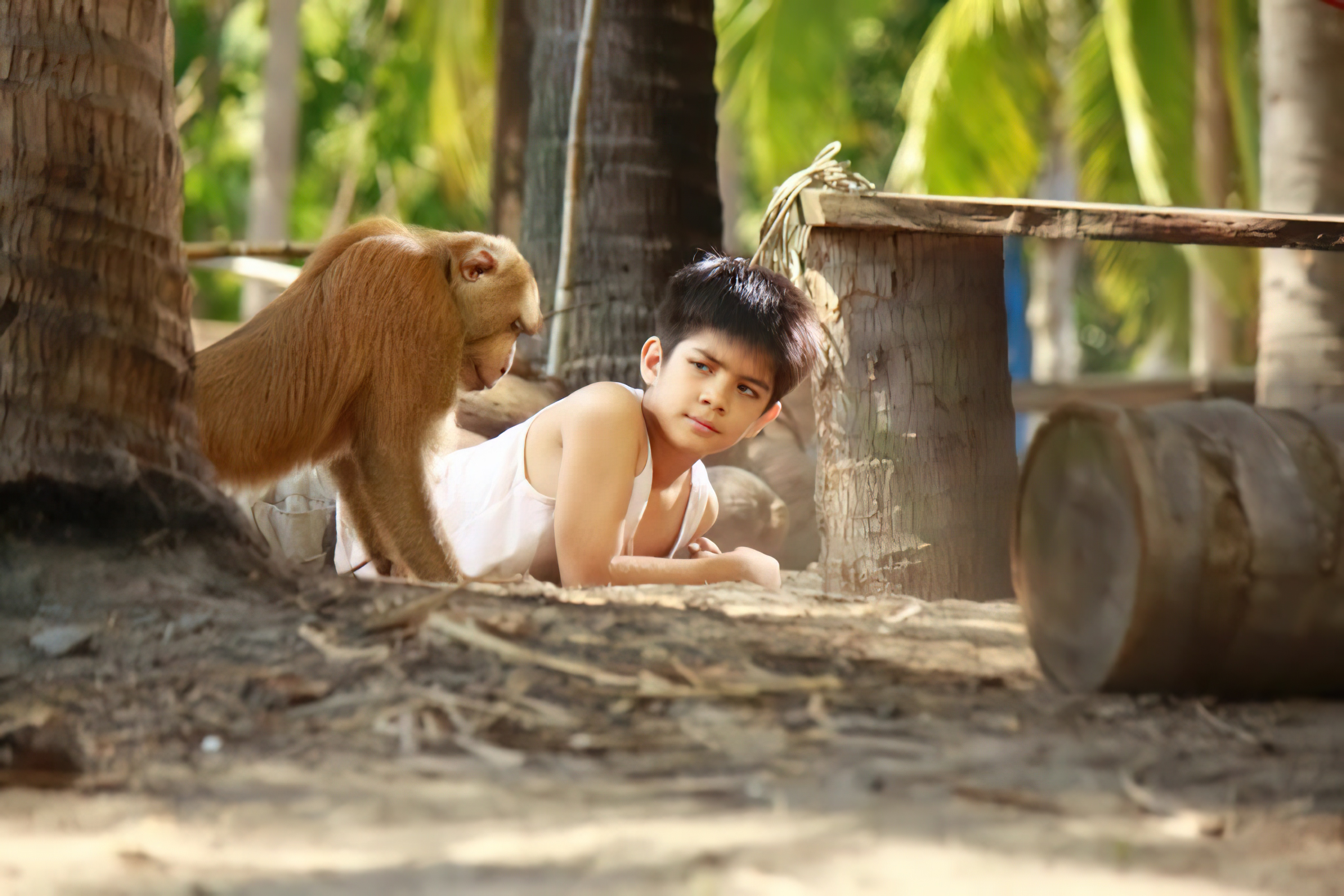 กะปิ ลิงจ๋อไม่หลอกจ้าว - กะปิ ลิงจ๋อไม่หลอกจ้าว