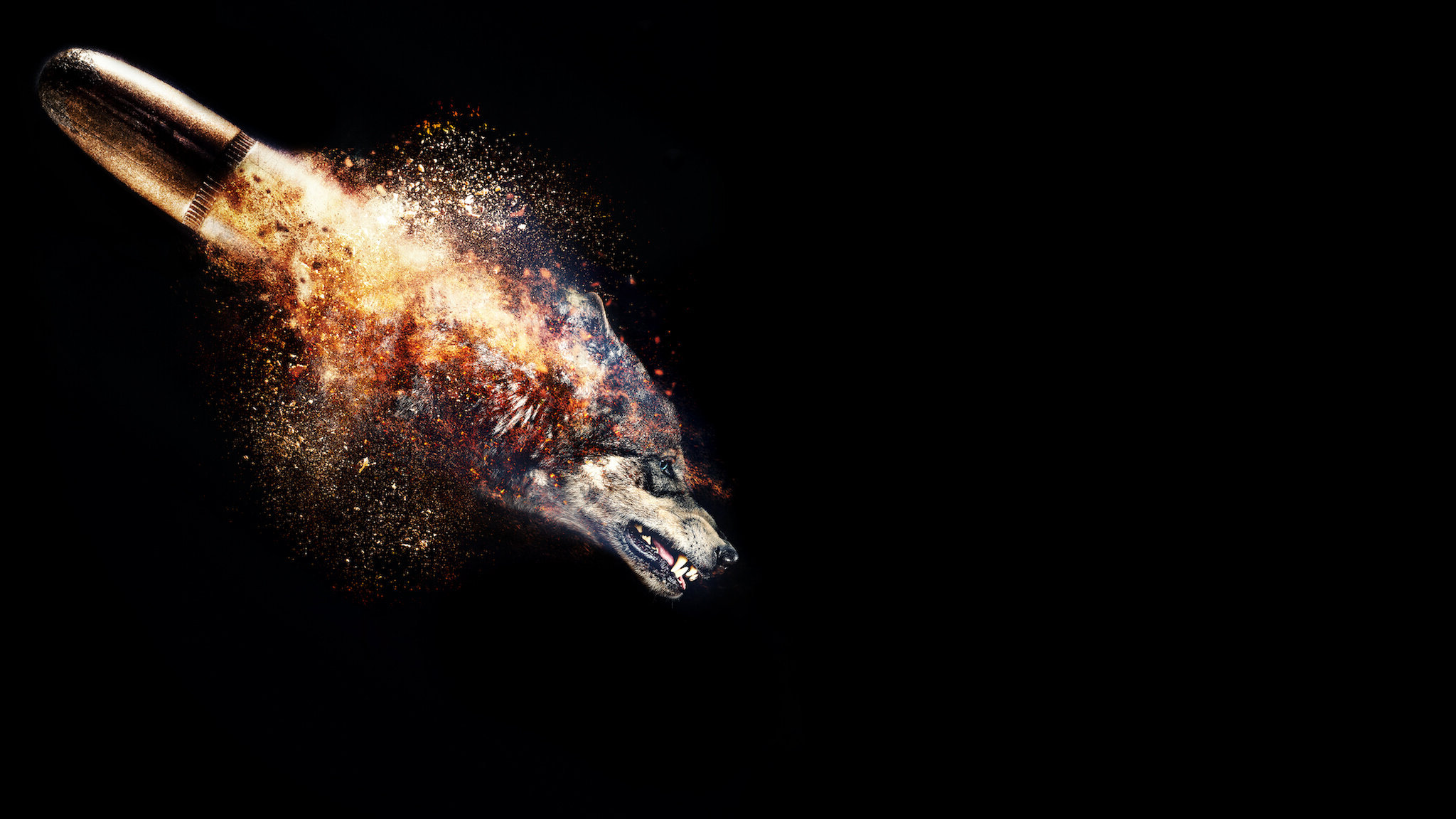 Wolf Season 1 (2018) -n- - Wolf Season 1 (2018) แดนเดือด ล่าระห่ำเมือง