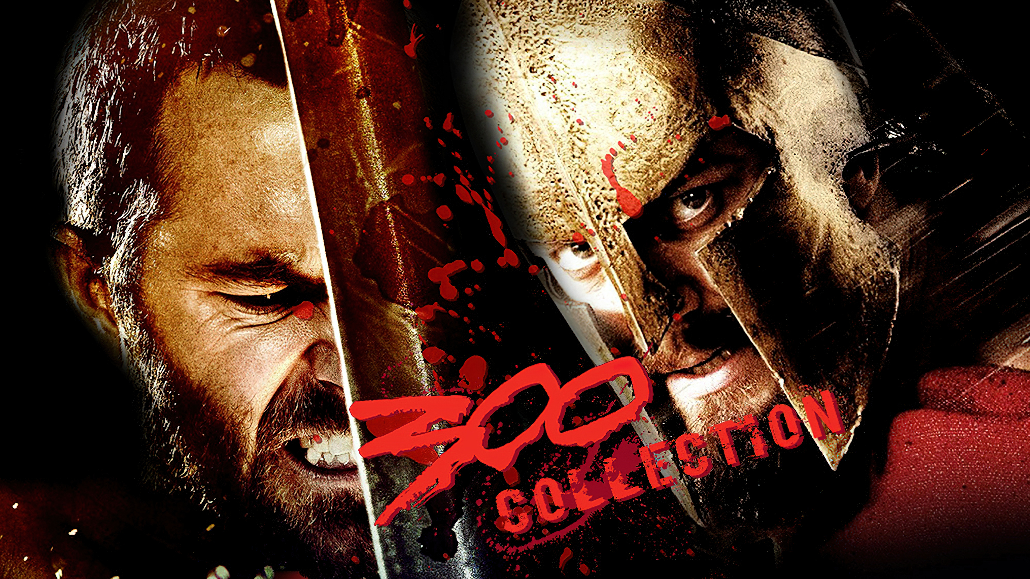 300 Collection - 300 Collection