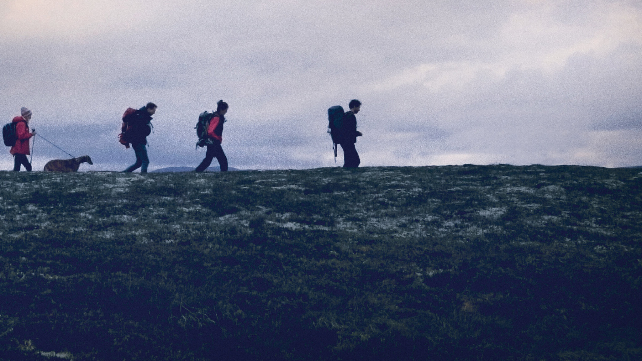 Evelyn (2018)  - Evelyn (2018) อีฟลิน