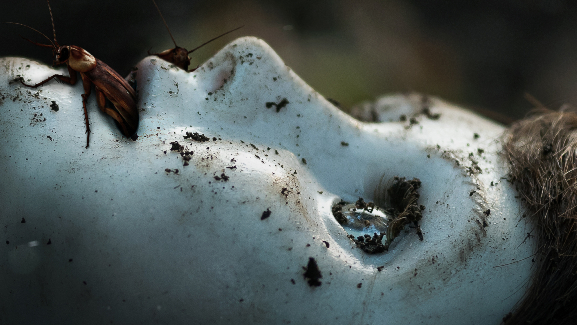 The Boy (2016) ตุ๊กตาซ่อนผี