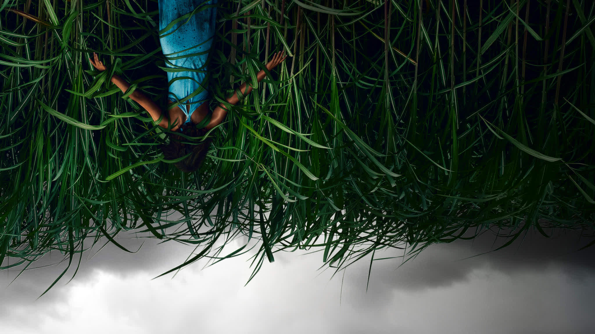 In the Tall Grass (2019) - In the Tall Grass (2019) พงหลอนมรณะ