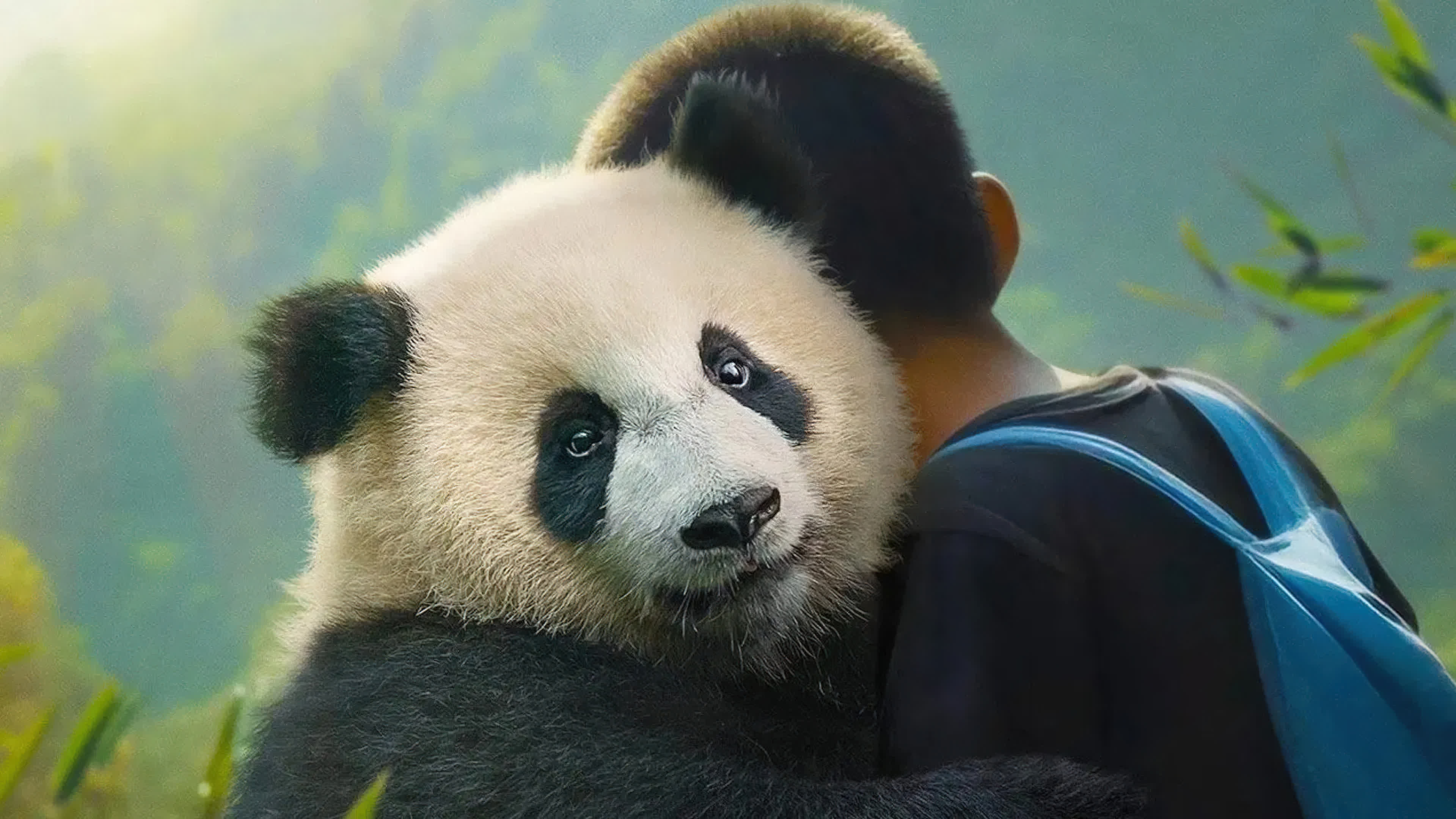 Moon le panda - Moon The Panda (2025) เพื่อนรัก จากขุนเขา