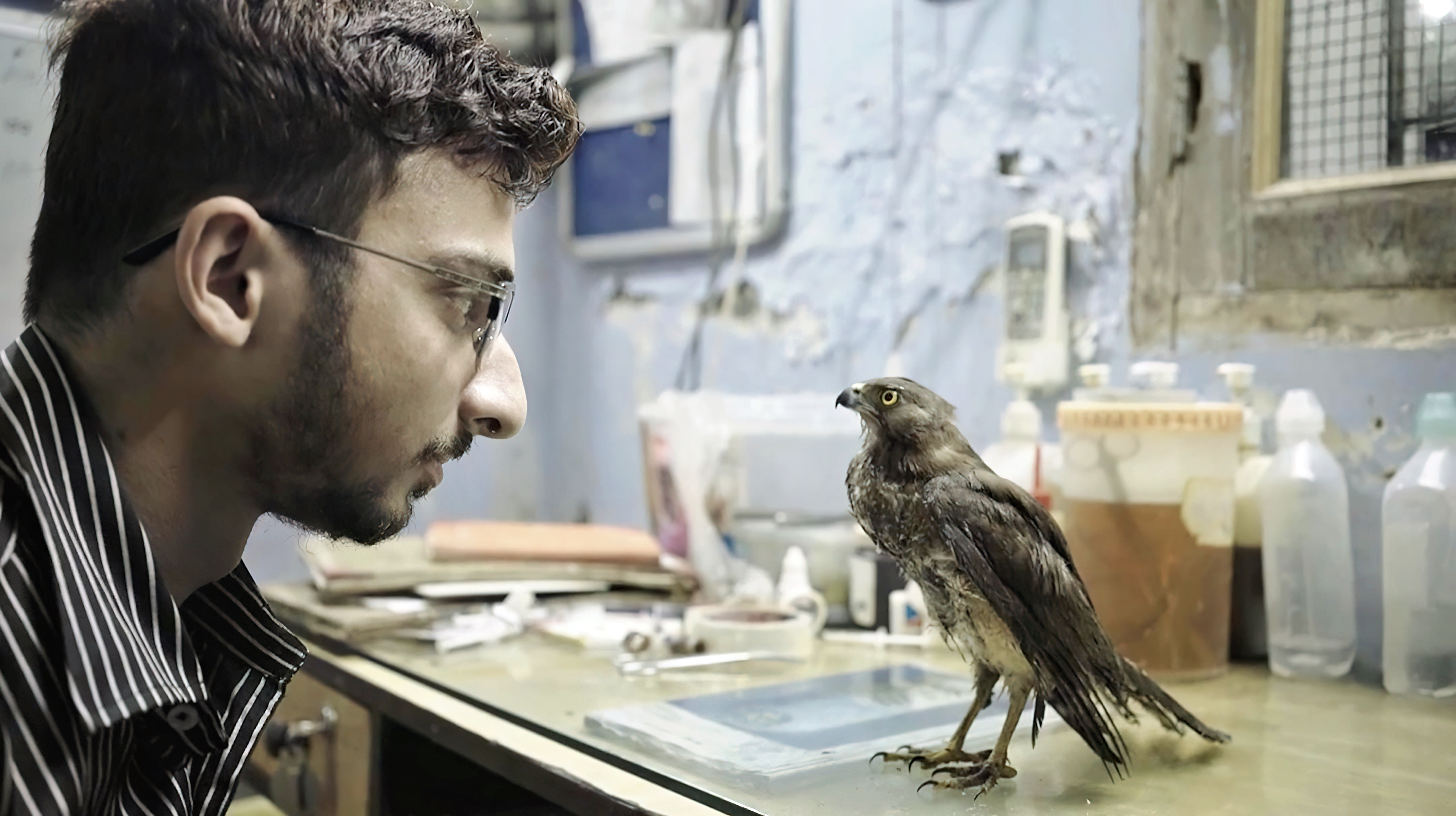 All That Breathes (2022)  - All That Breathes (2022) อย่าให้ลมสิ้นไป