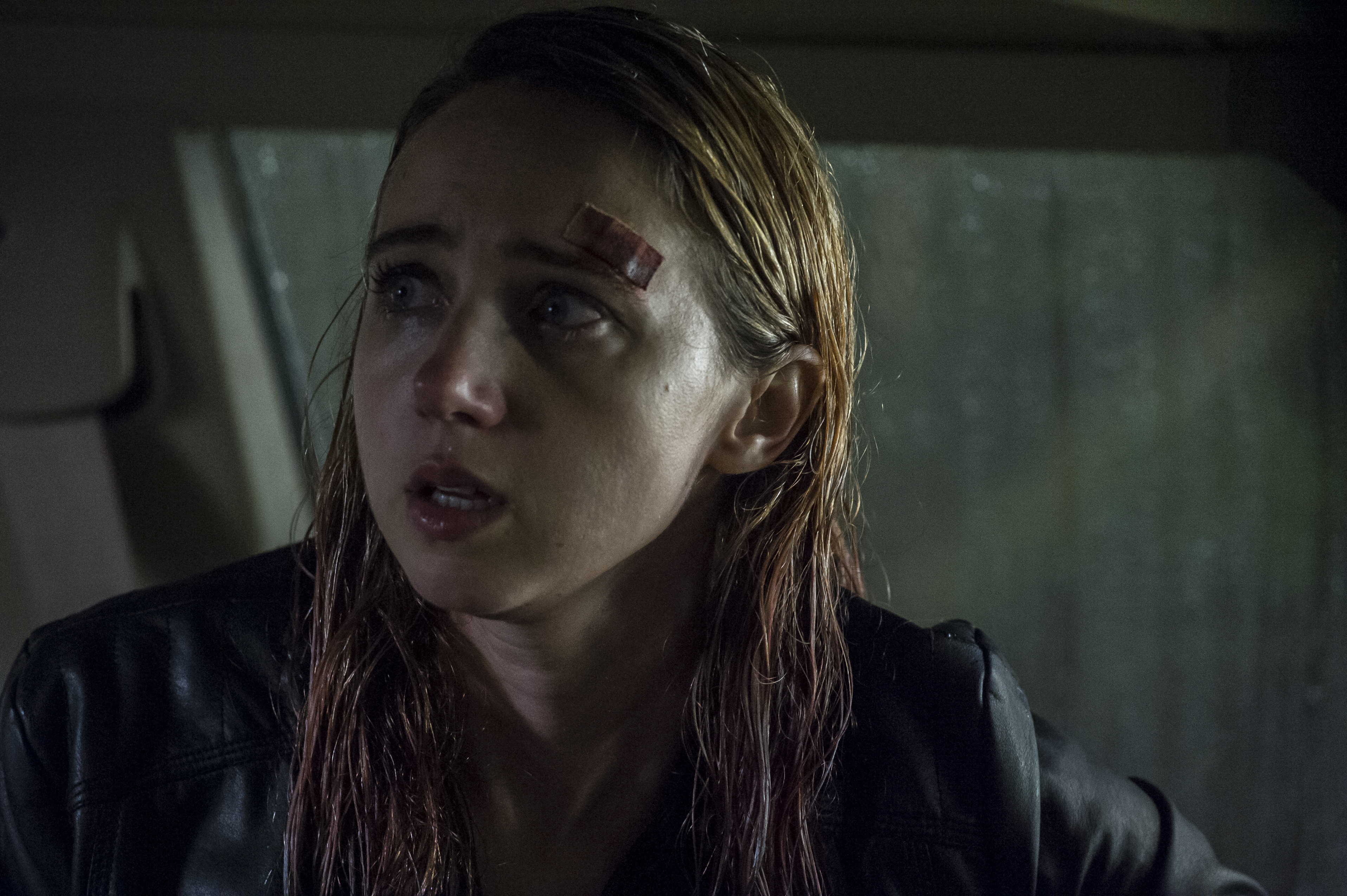 The Monster (2016)  - The Monster (2016)