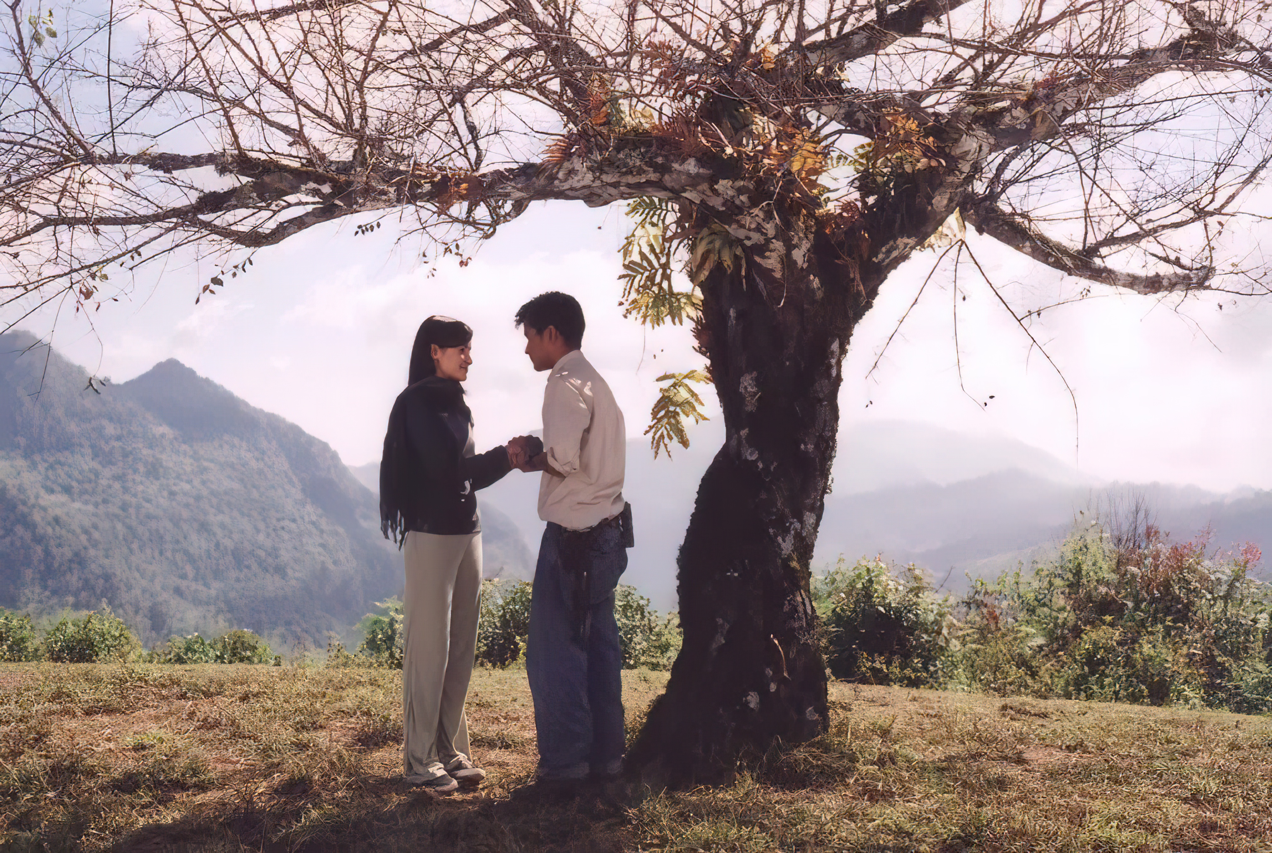 The Letter (2004) - จดหมายรัก (2004)