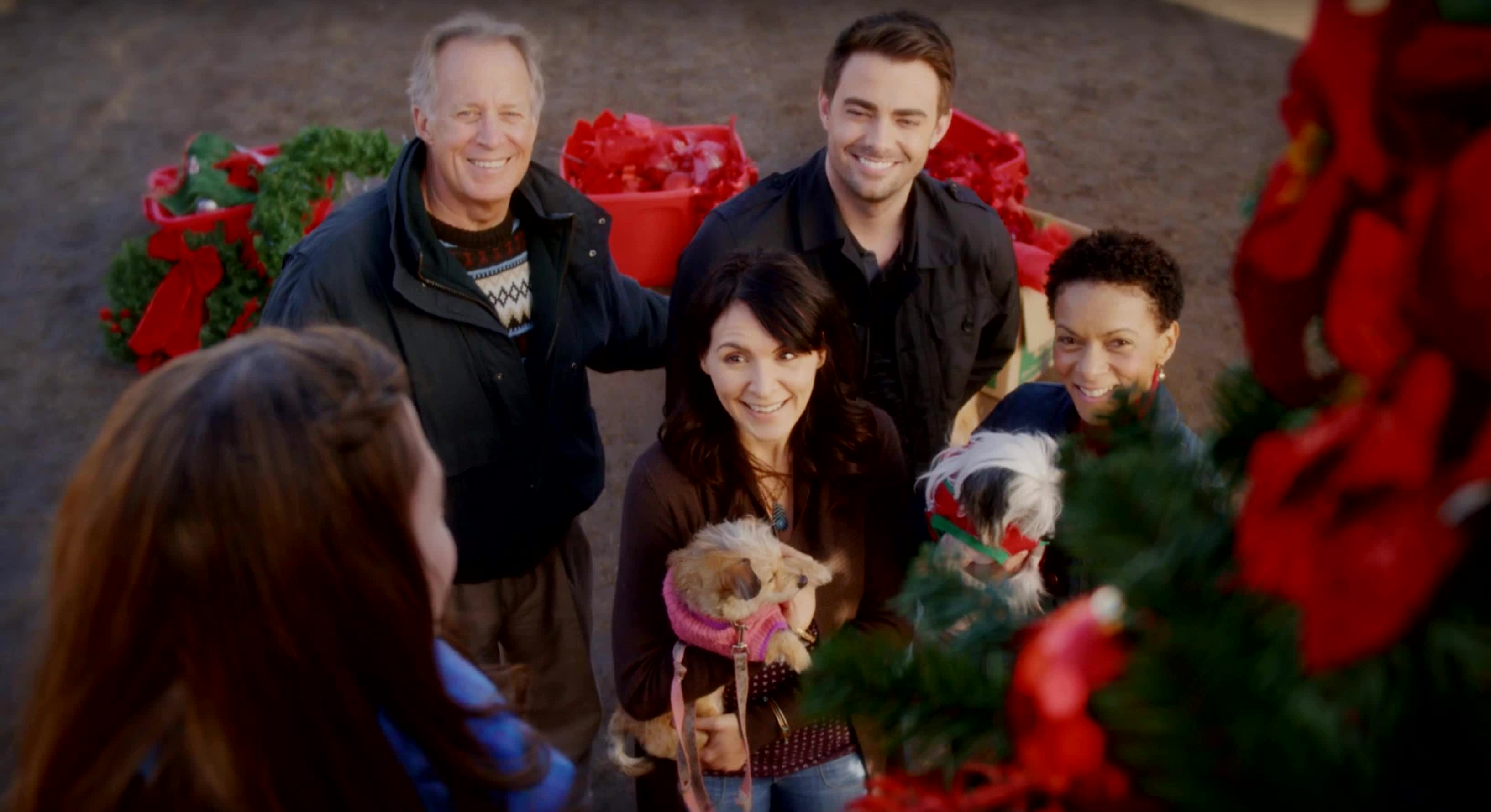 A Dogwalker's Christmas Tale (2015) - A Dogwalker's Christmas Tale (2015)