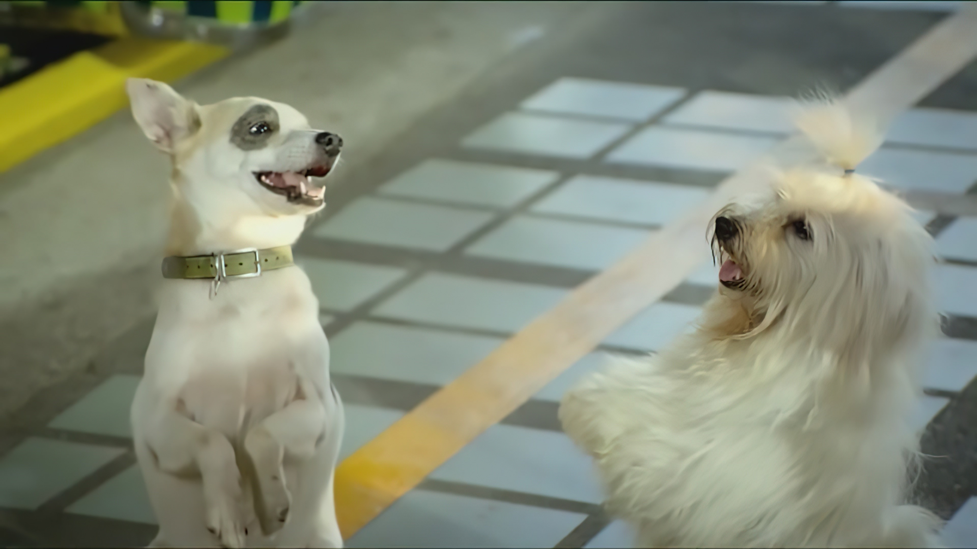 Mid Road Gang (2007) - มะหมา 4 ขาครับ (2007)