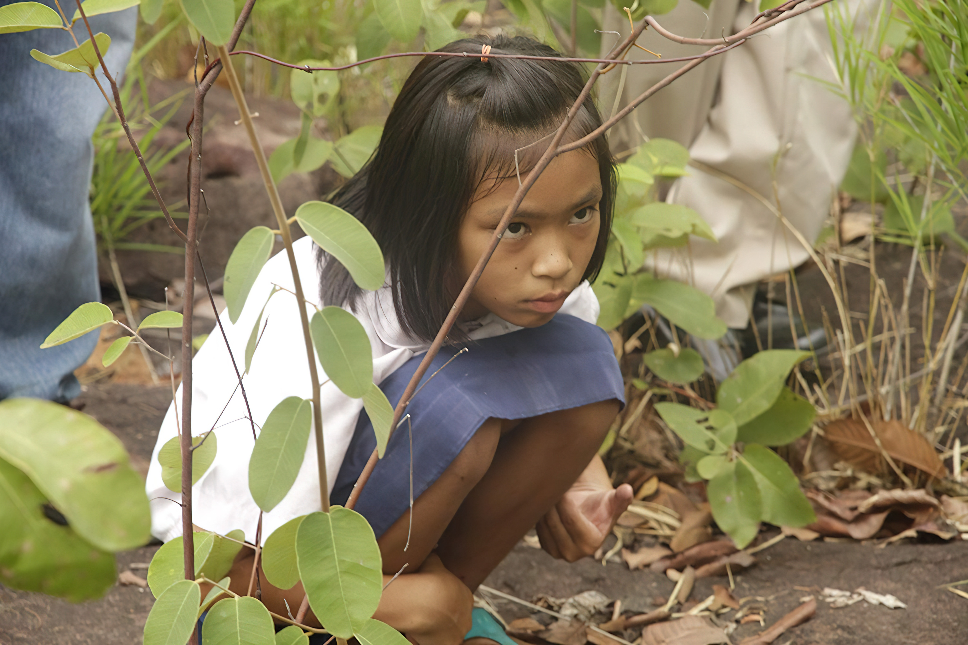 The FOREST (2016) - ป่า (2016)