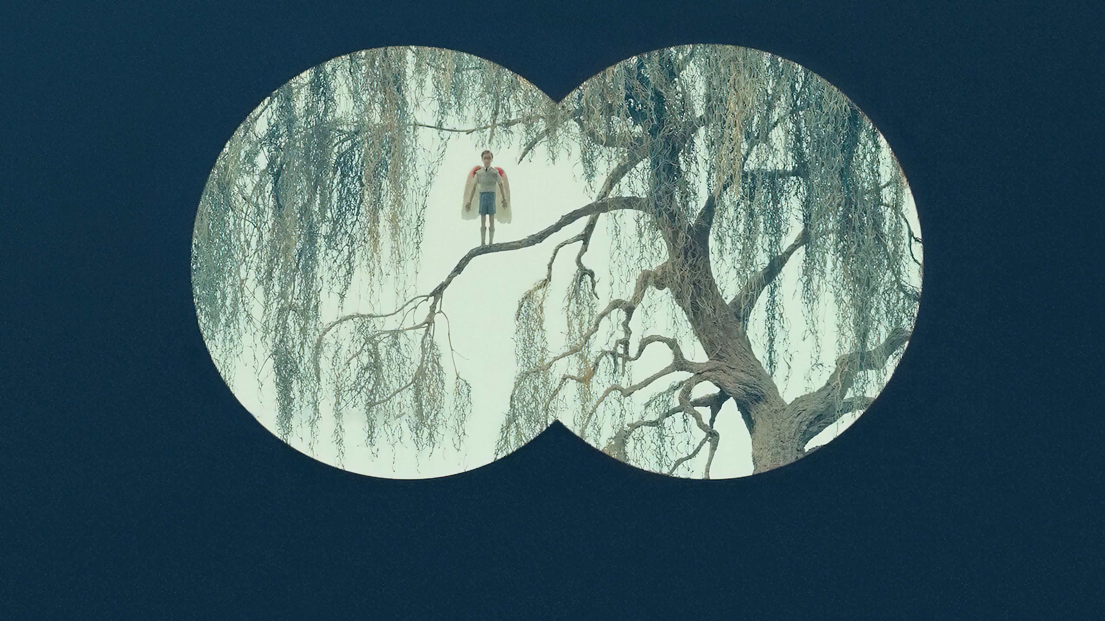 The Swan (2023) - The Swan (2023) นางหงส์