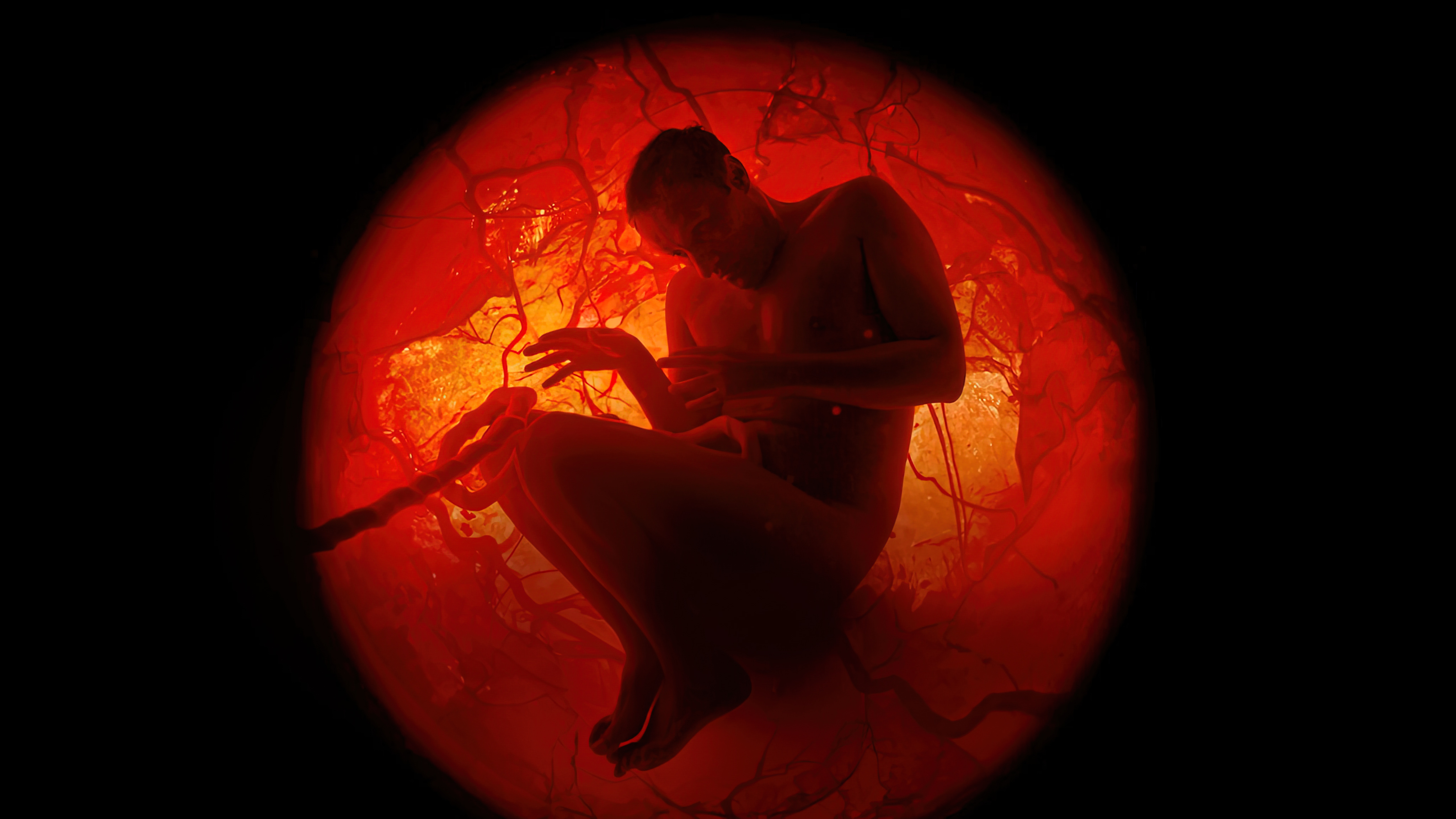 A Whole Lifetime with Jamie Demetriou (2023) - เวลาทั้งชีวิตกับเจมี่ เดเมทรีอู (2023)