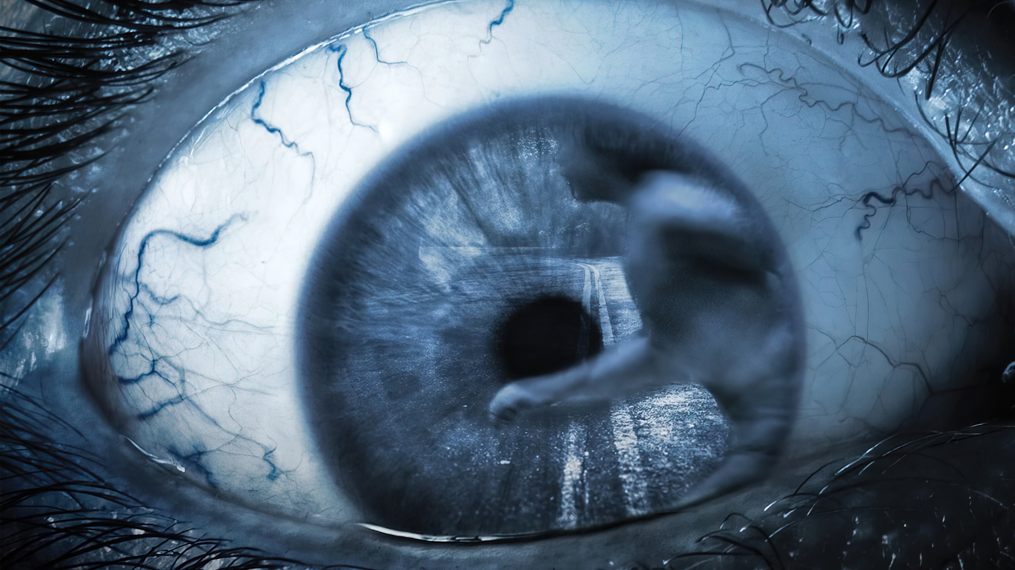 KM 31 Kilómetro 31 (2010)