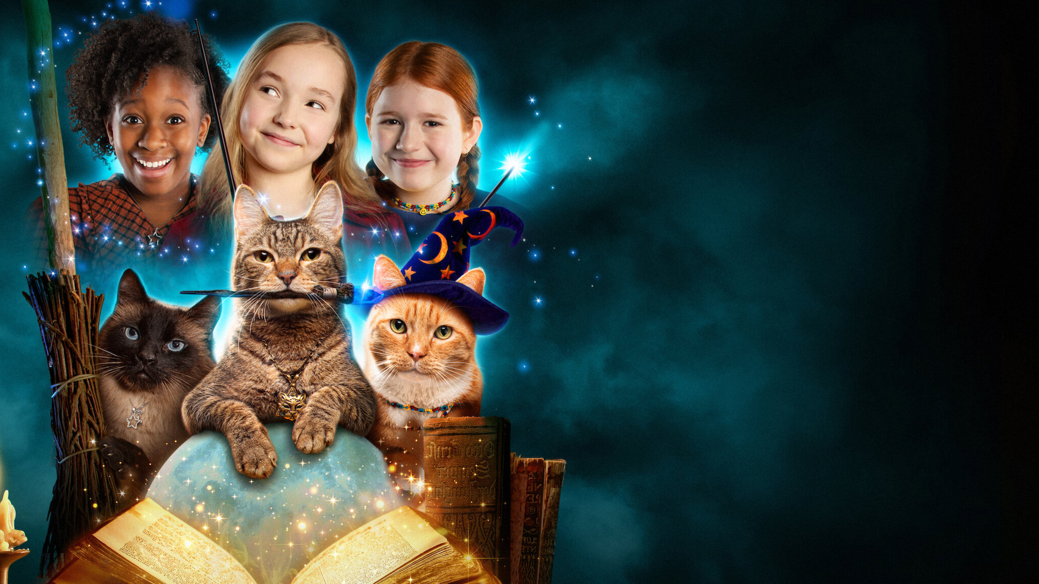 Scaredy Cats Season 1 (2021) -n- - Scaredy Cats Season 1 (2021) แมวเหมียวขี้กลัว