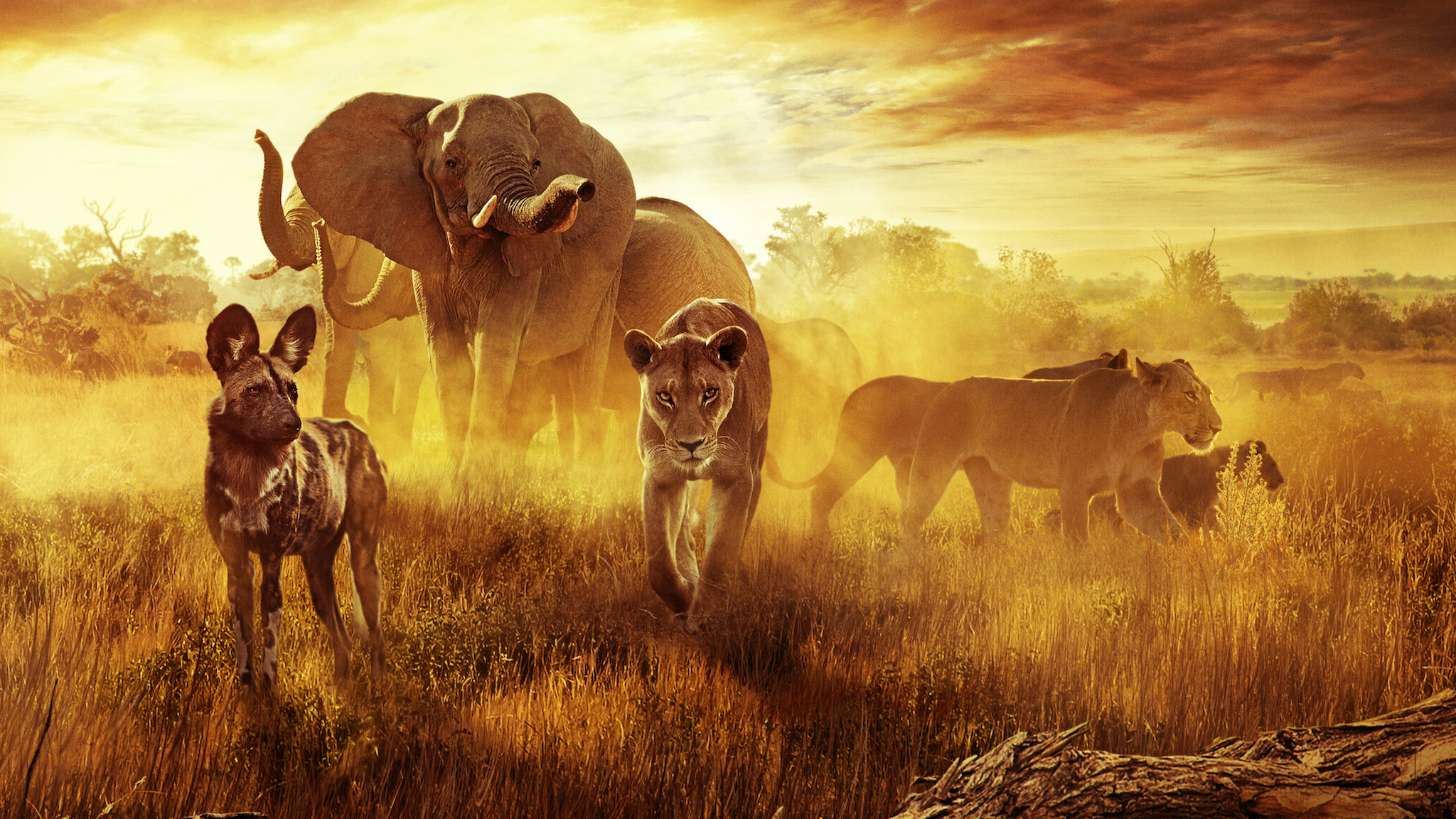 Surviving Paradise A Family Tale (2022)  - Surviving Paradise (2022) ชีวิตป่าแดนสวรรค์