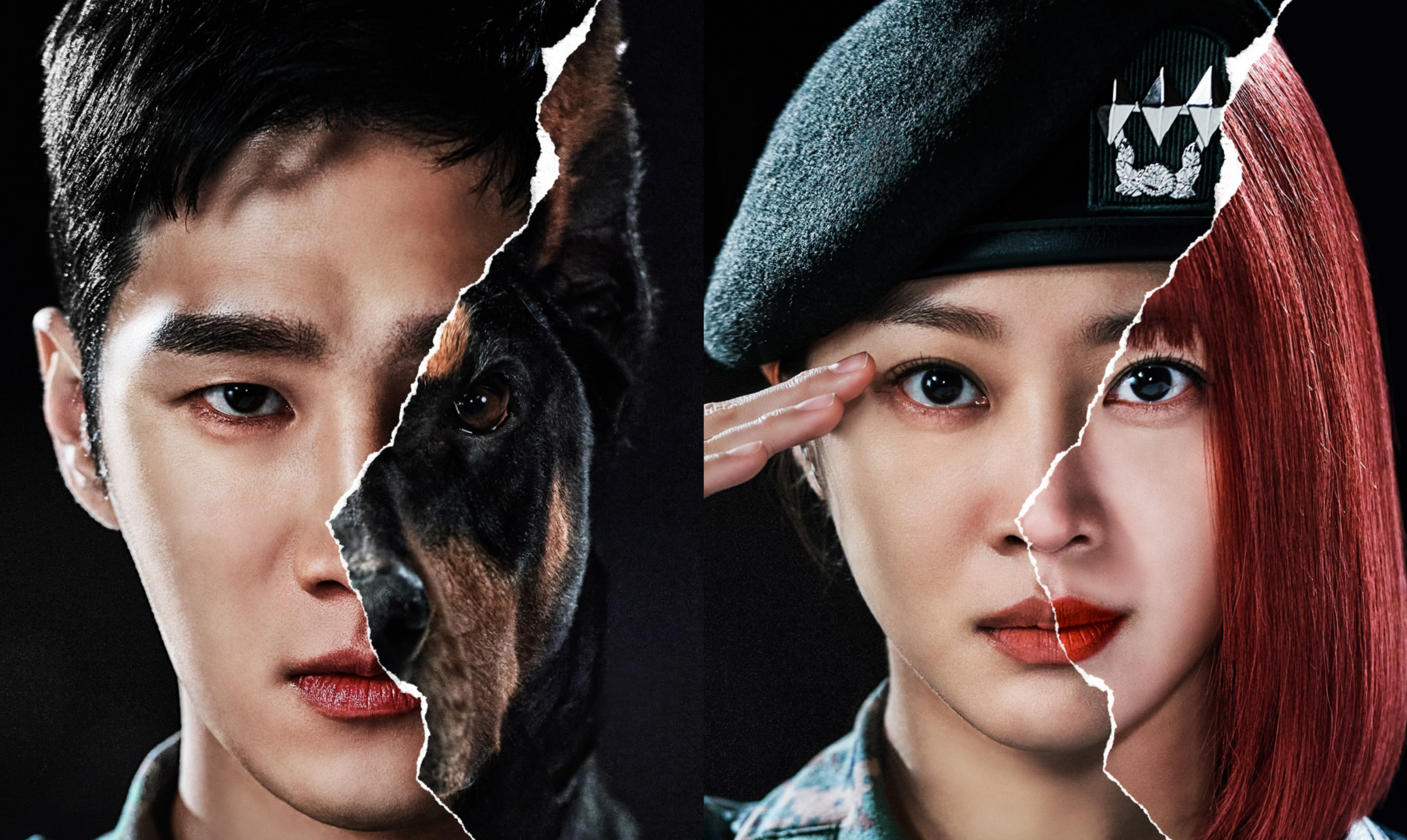 Military Prosecutor Doberman (2022) - Military Prosecutor Doberman ซับไทย | ตอนที่ 1-16 (จบ)