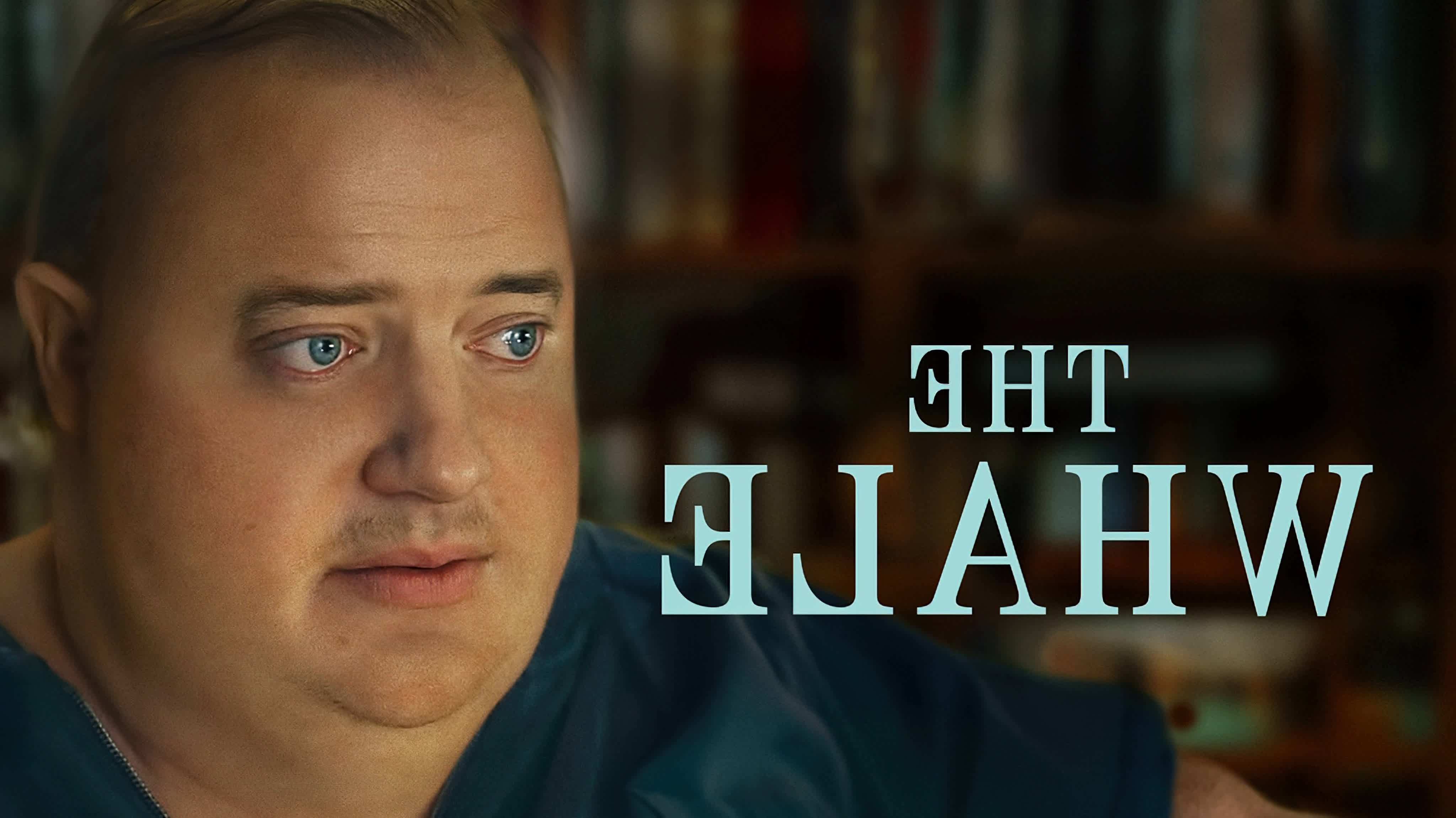 The Whale (2022) เหงา เท่า วาฬ