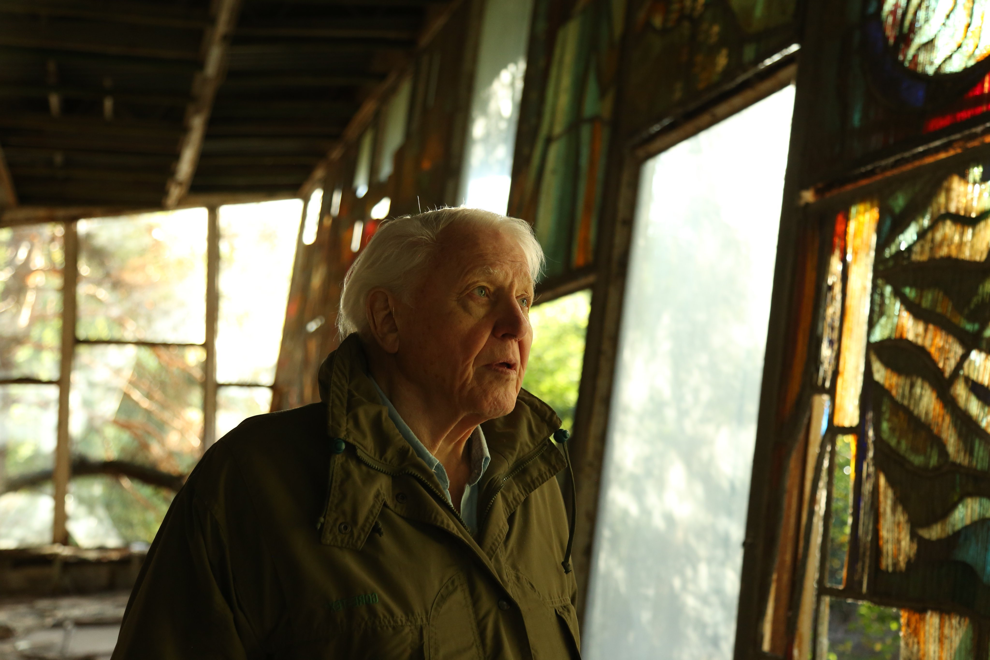 David Attenborough A Life on Our Planet (2020)   - เดวิด แอทเทนเบอเรอห์ ชีวิตบนโลกนี้ (2020)