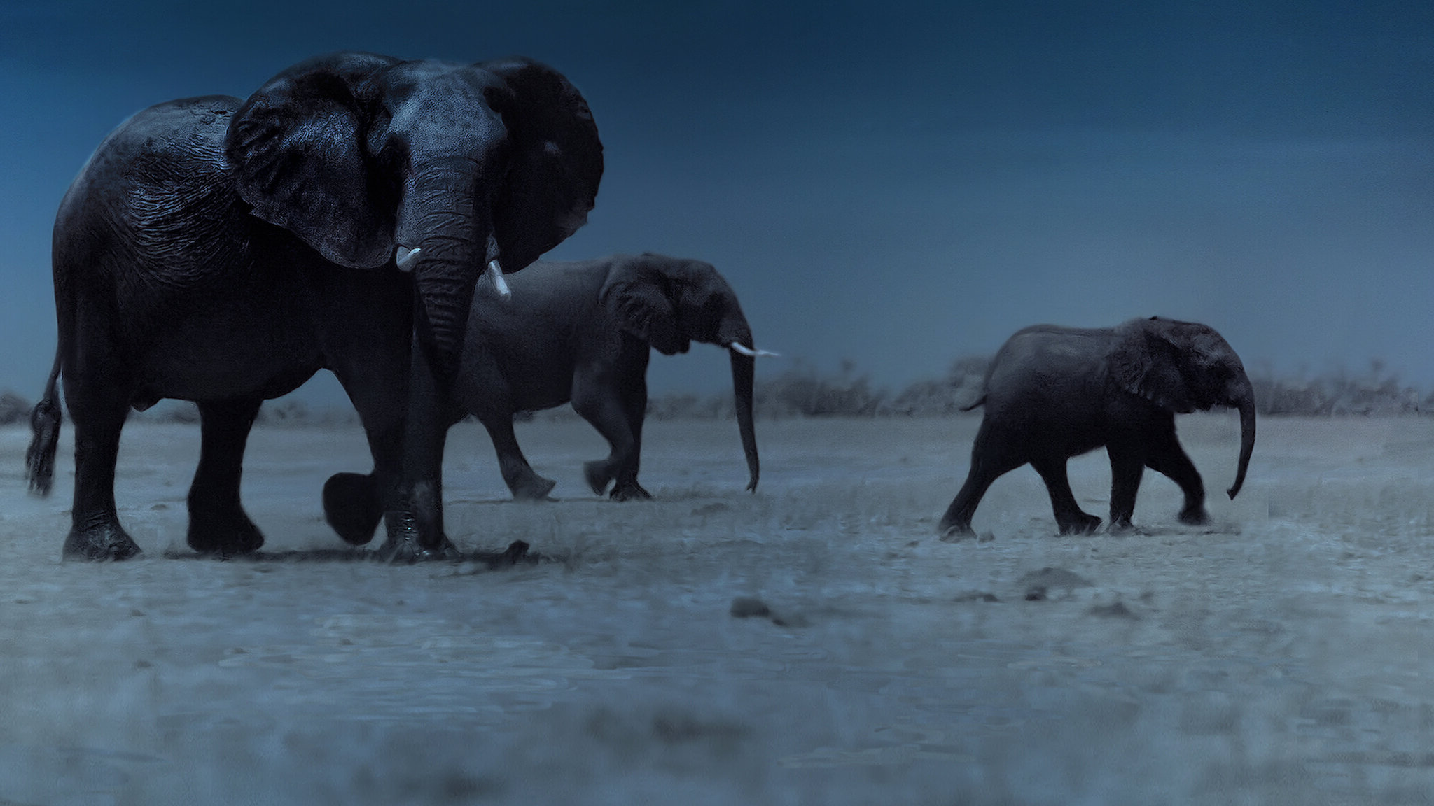 Night on Earth Season 1 (2020) - Night on Earth Season 1 (2020) ส่องโลกยามราตรี