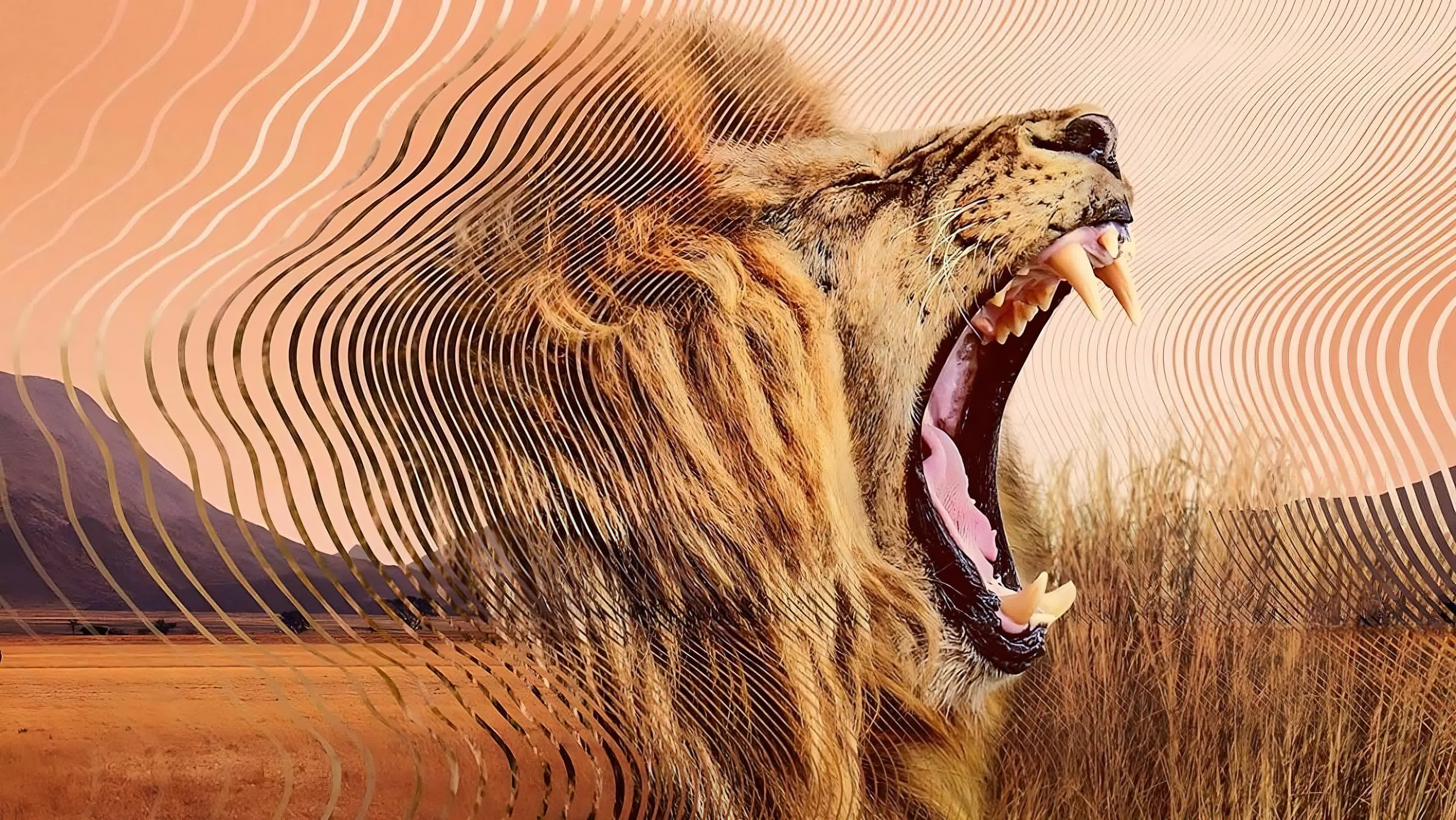 Secret World of Sound with David Attenborough Season 1 (2024) - โลกลับแห่งเสียงกับเดวิด แอทเทนเบอเรอห์ Season 1 (2024) [พากย์ไทย]