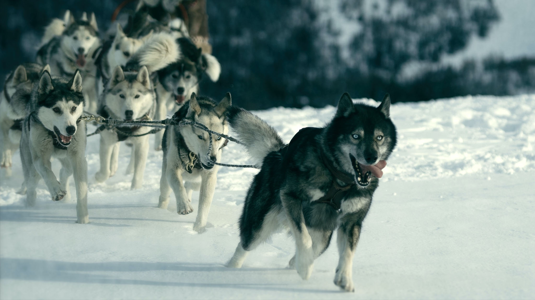 Togo (2019) - Togo (2019)