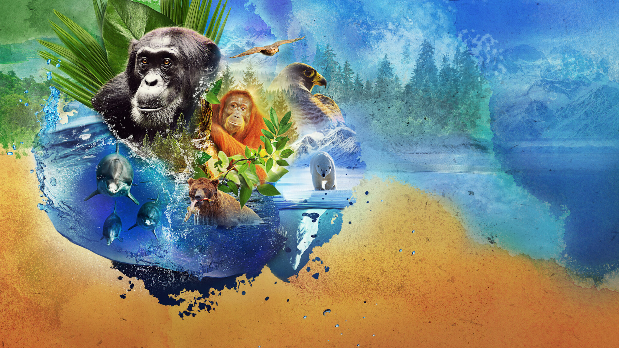 Animal Season 1 (2021) -n- - Animal Season 1 (2021) สัตว์มหัศจรรย์