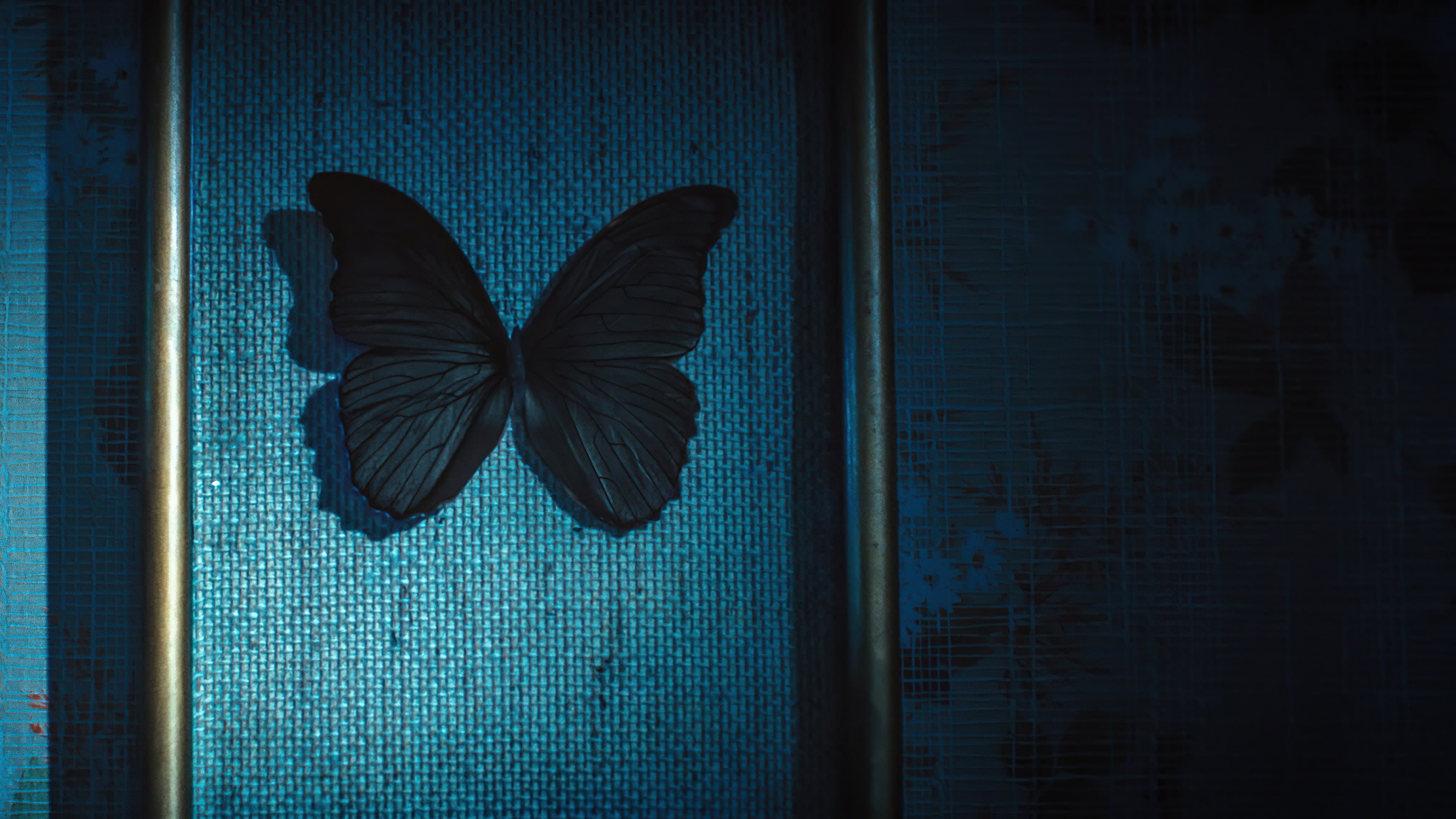 Black Butterflies Season 1 (2022) - Black Butterflies Season 1 (2022) ผีเสื้อดำ